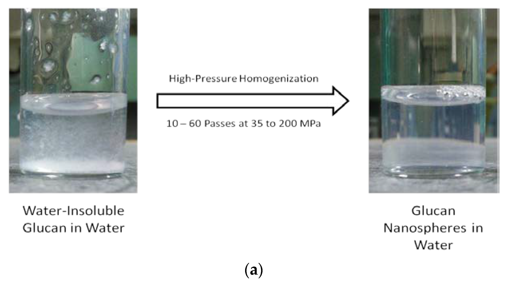 Molecules 25 03807 g003a