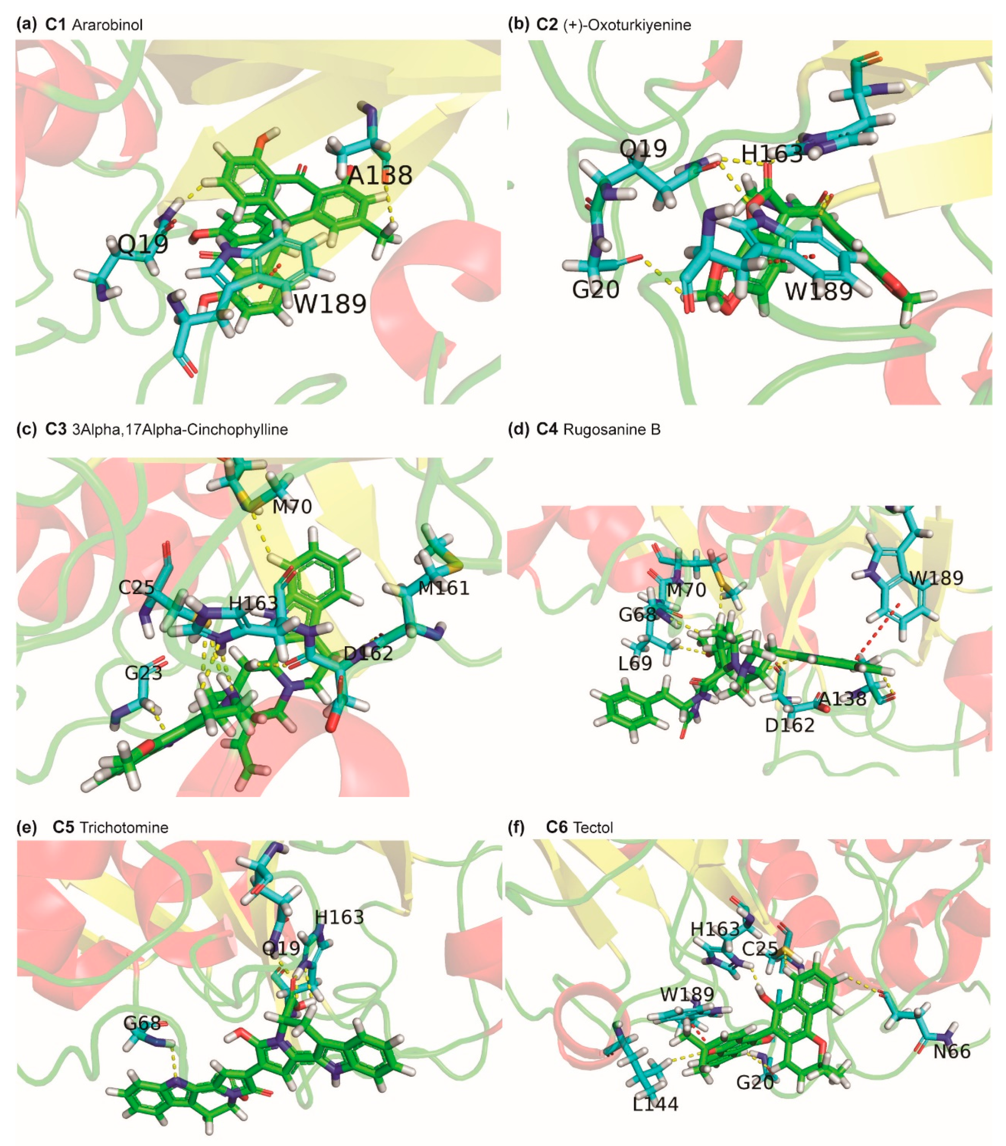 Molecules 25 03822 g007