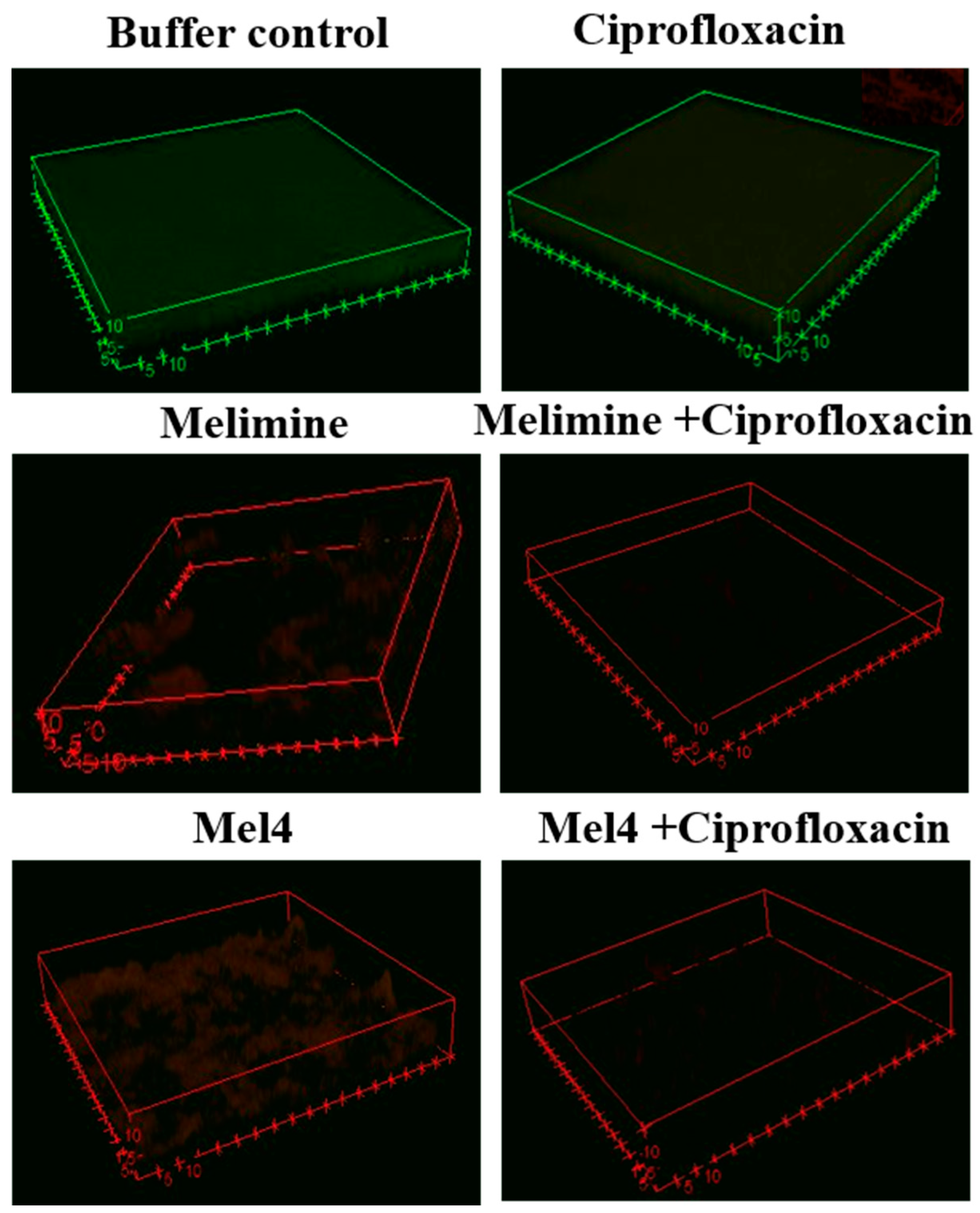 Molecules 25 03843 g005