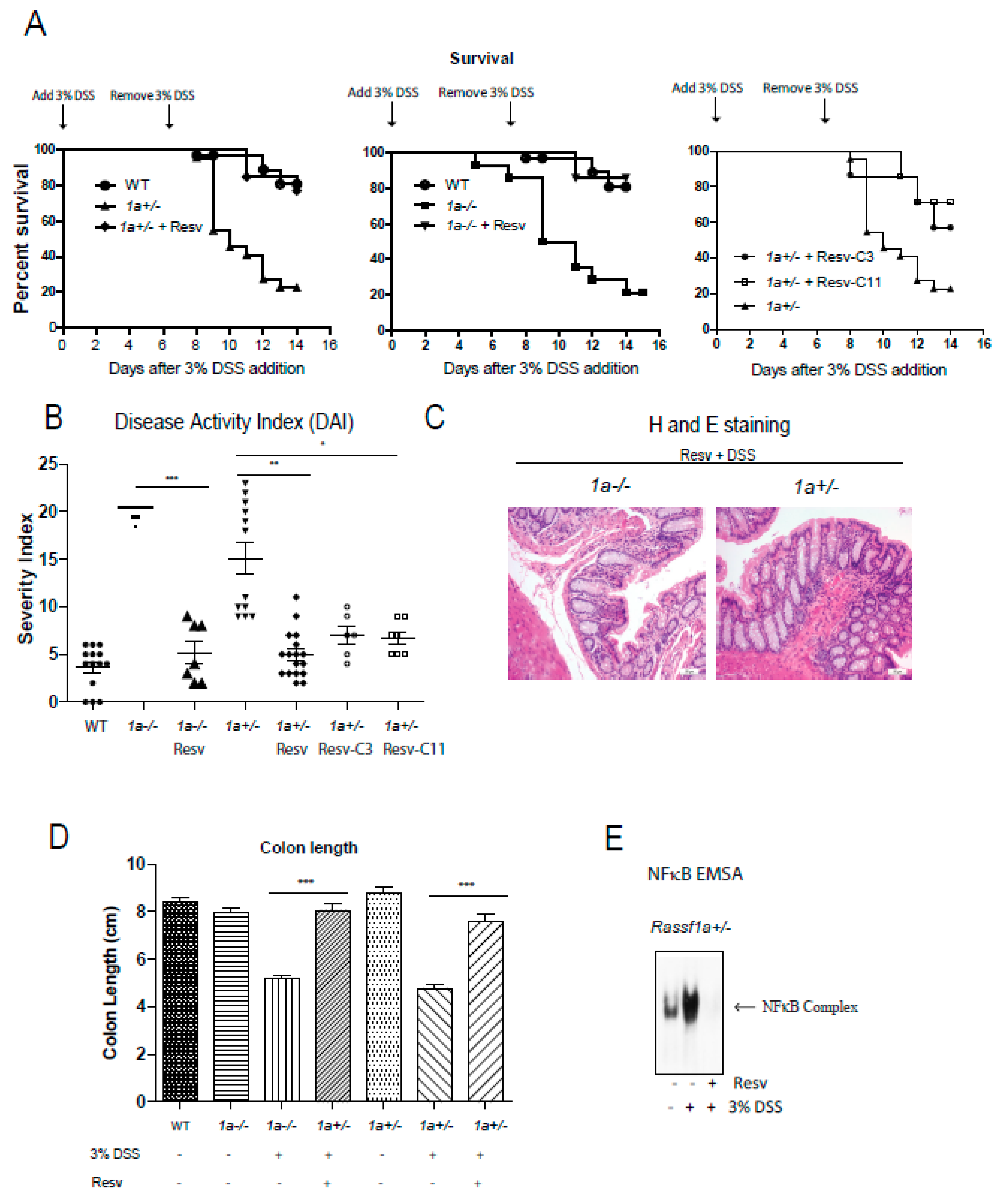 Molecules 25 03849 g005