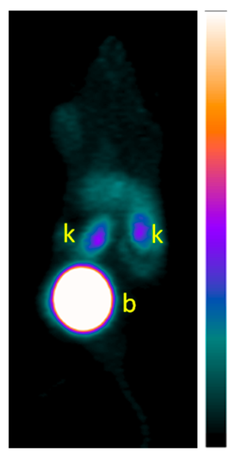 Molecules 25 03854 g006 Molecules 25 03854 g006