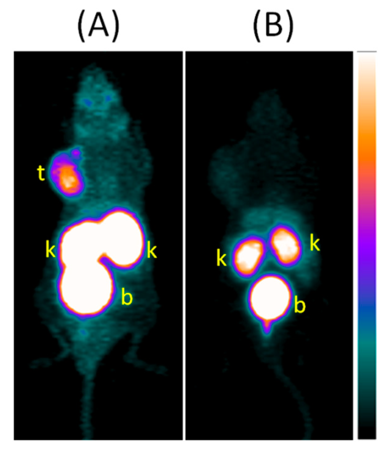Molecules 25 03854 g007 Molecules 25 03854 g007