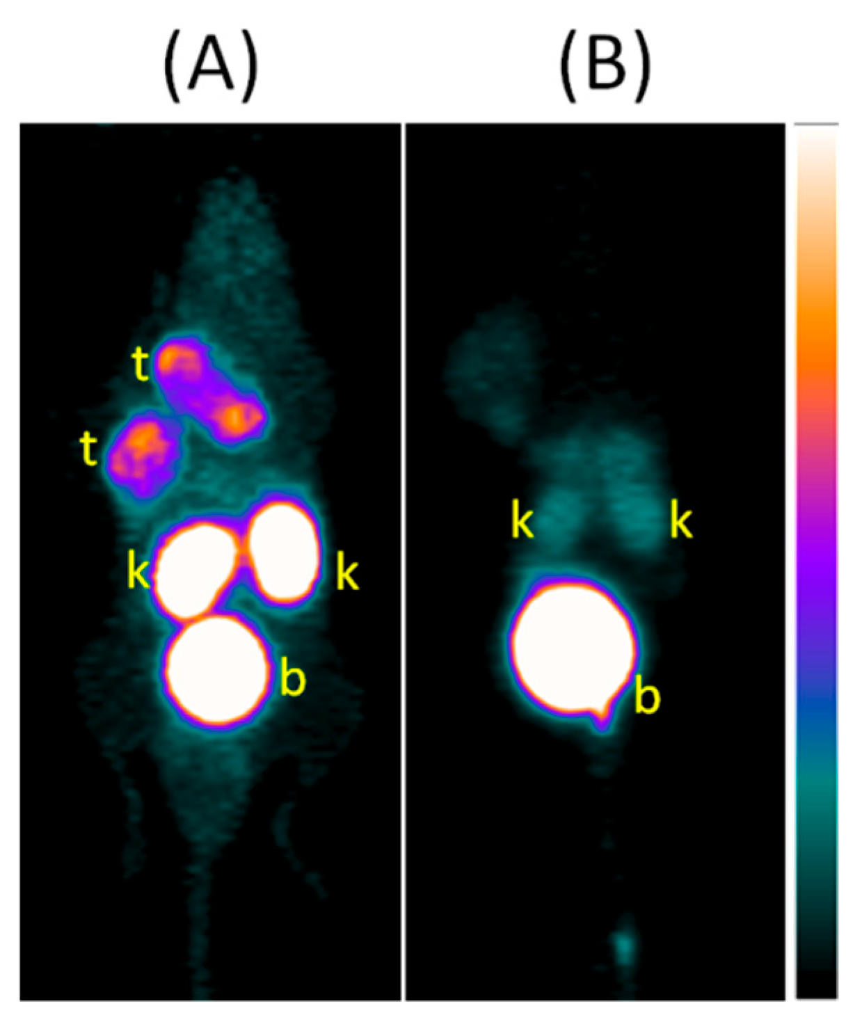 Molecules 25 03854 g008 Molecules 25 03854 g008