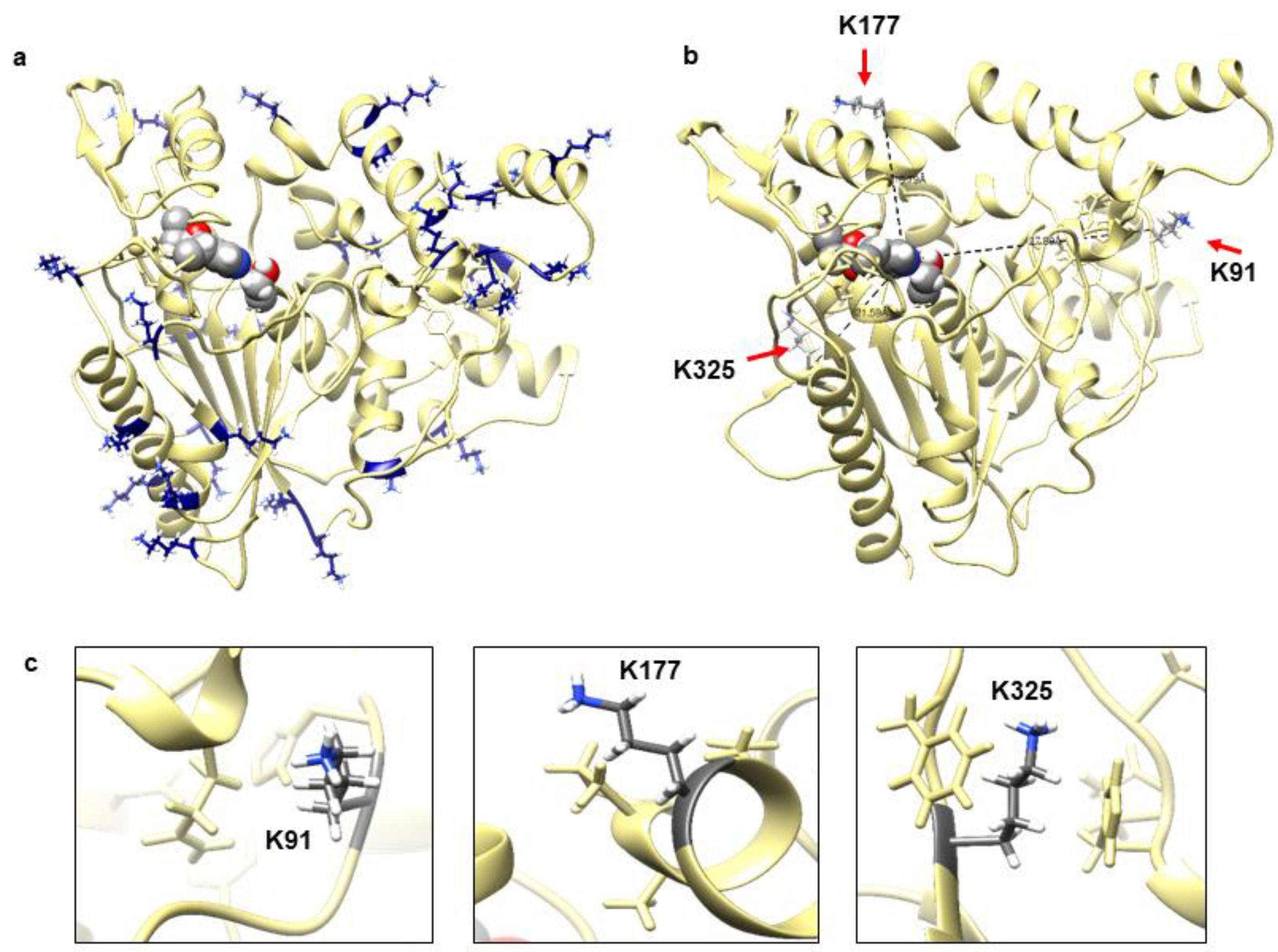 Molecules 25 03858 g001