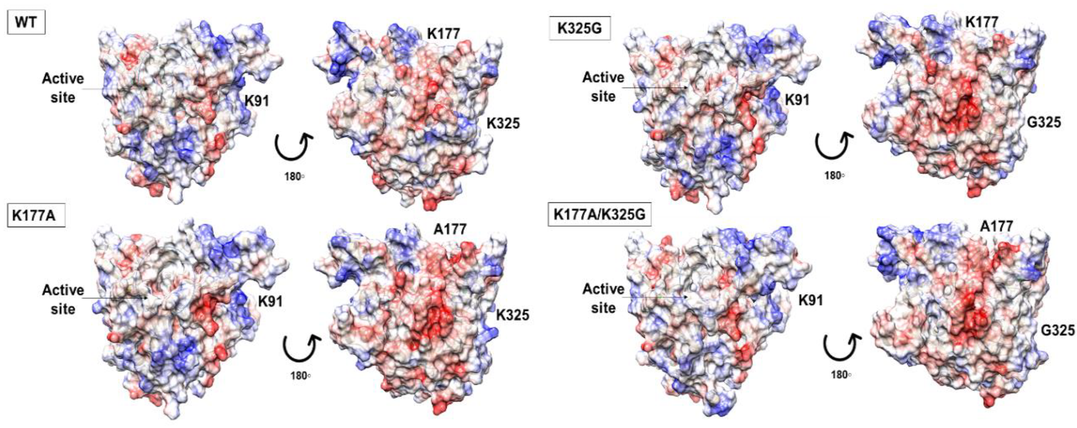 Molecules 25 03858 g002