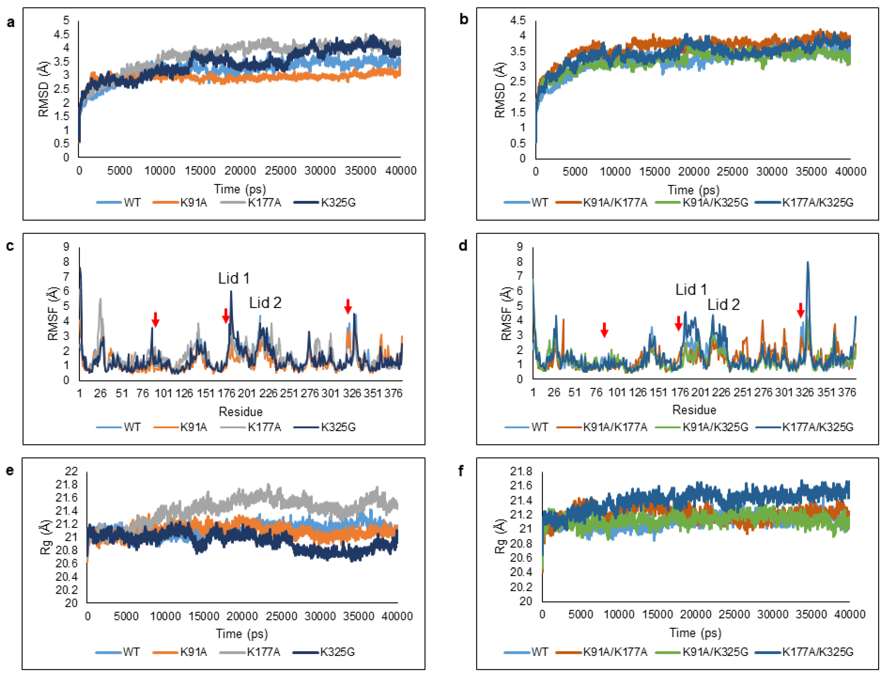 Molecules 25 03858 g003