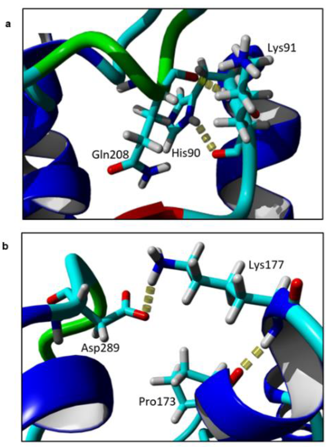 Molecules 25 03858 g004