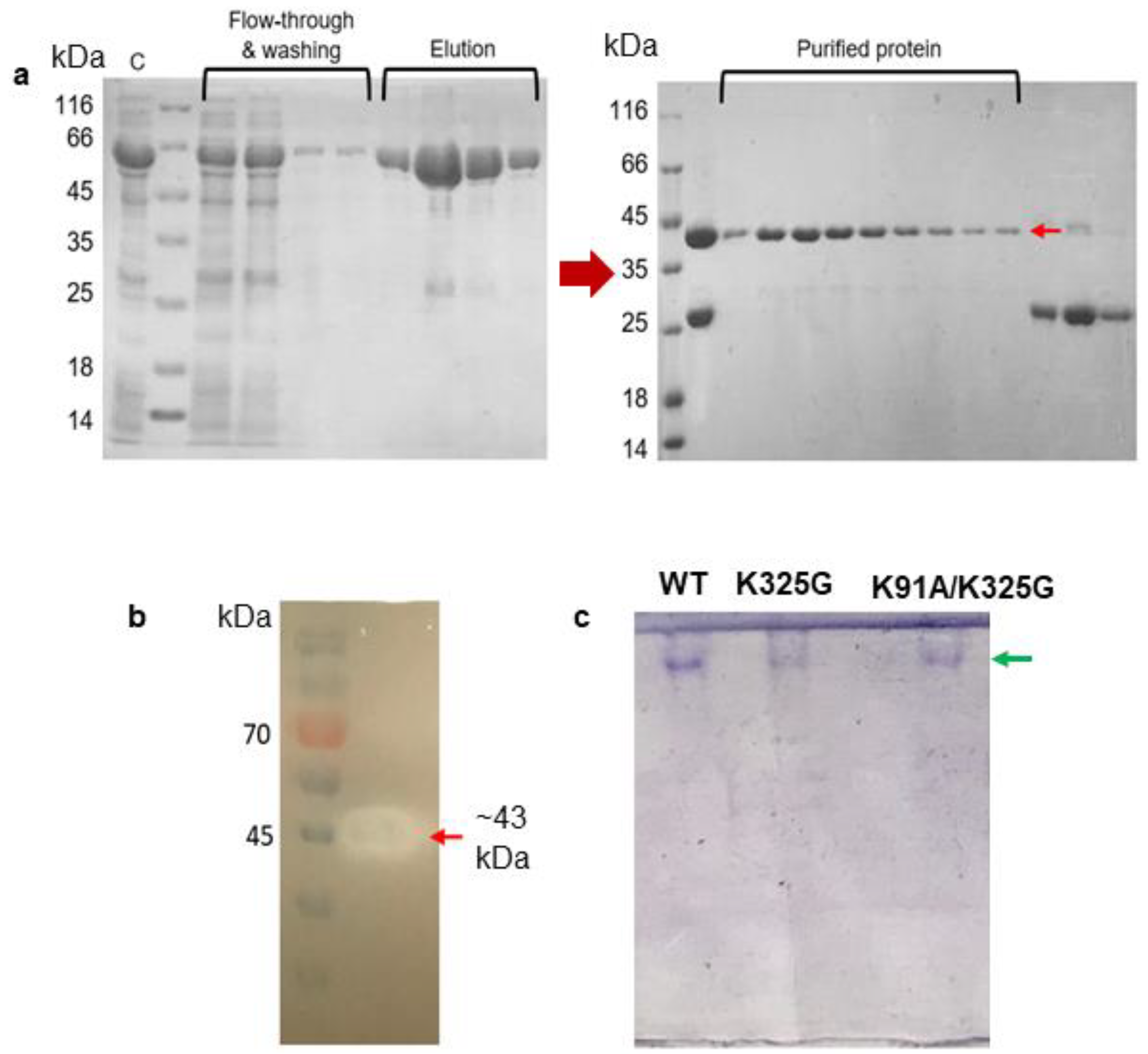 Molecules 25 03858 g005