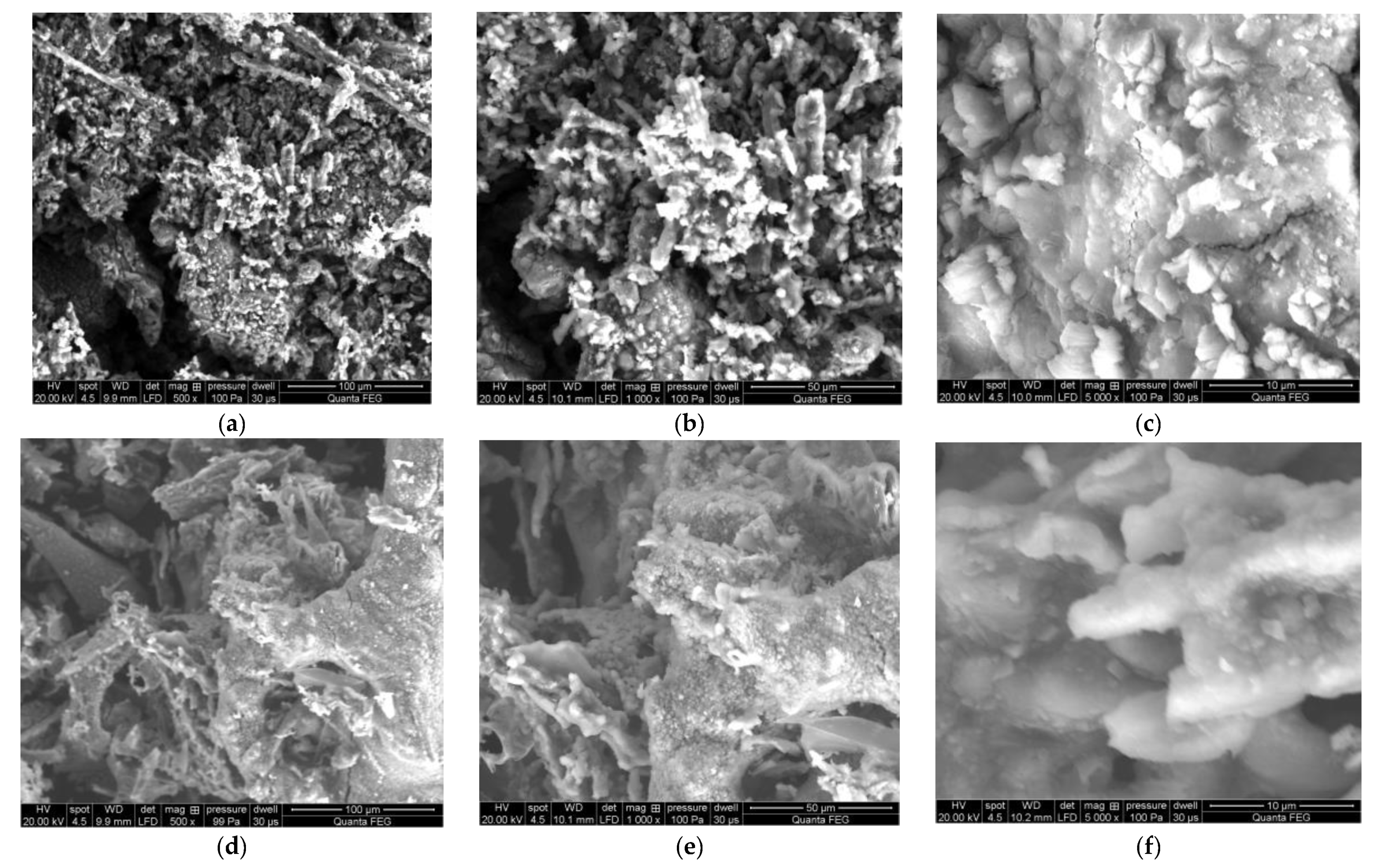 Molecules 25 03862 g011