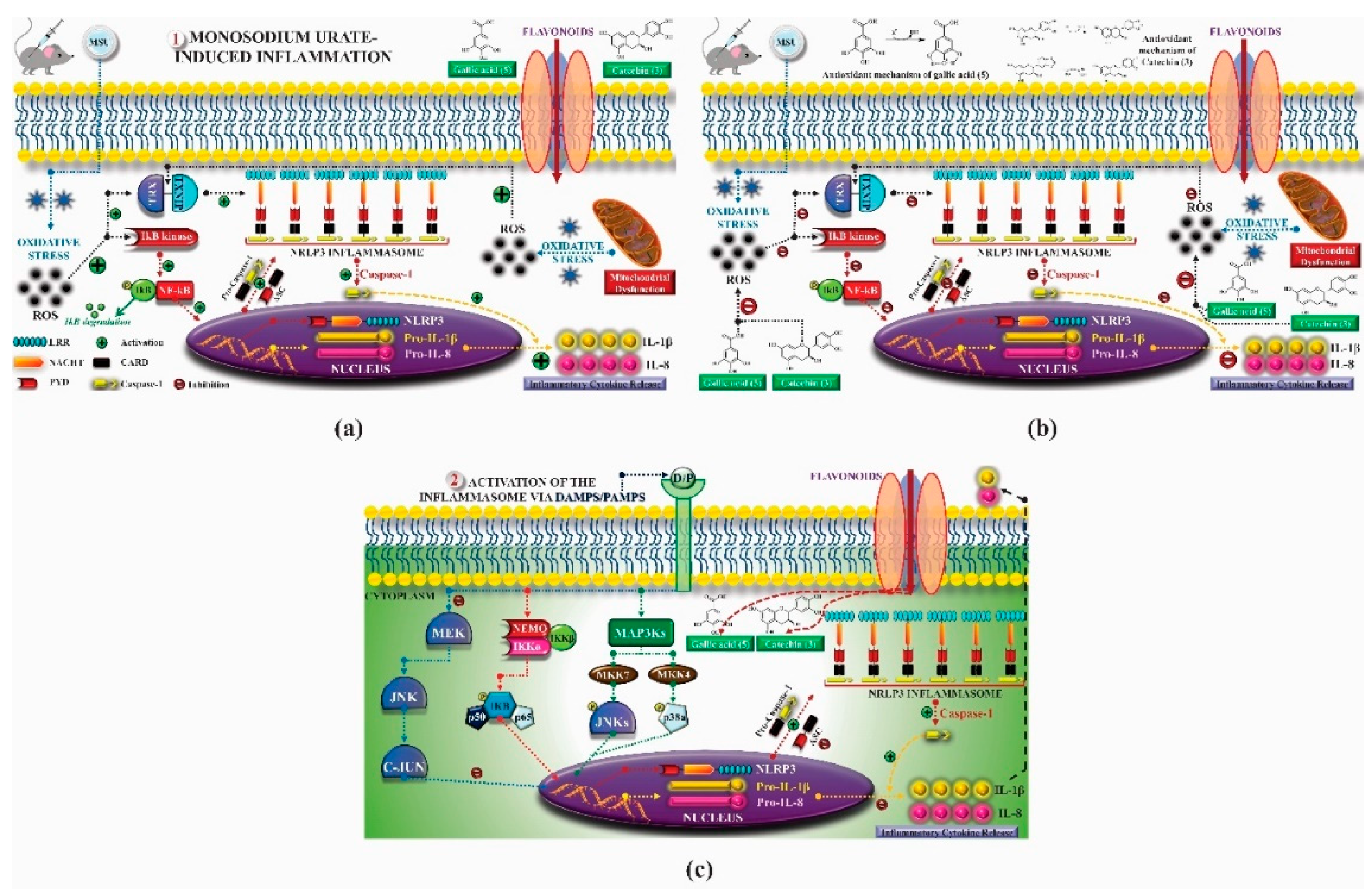 Molecules 25 03879 g001
