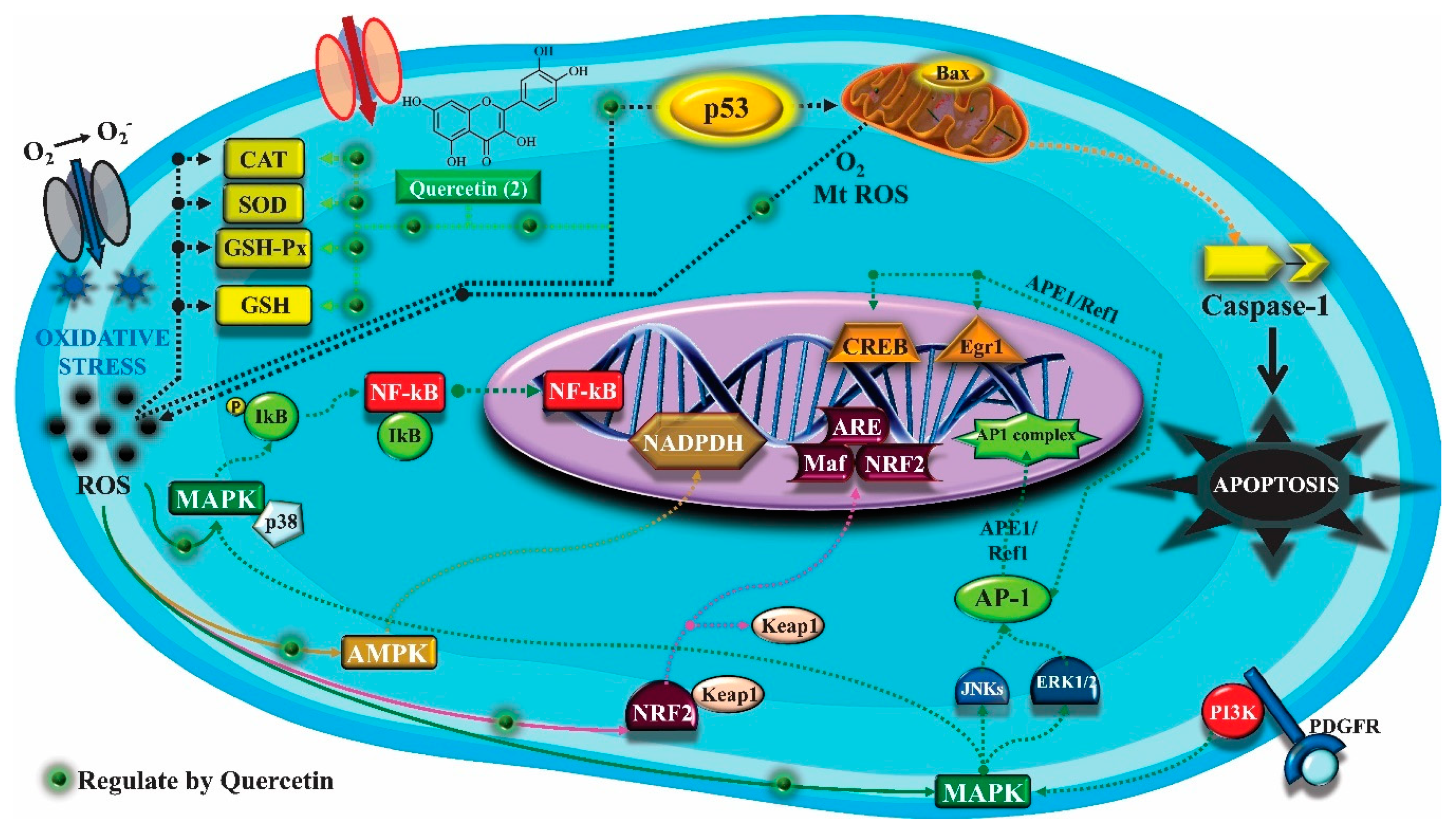 Molecules 25 03879 g002