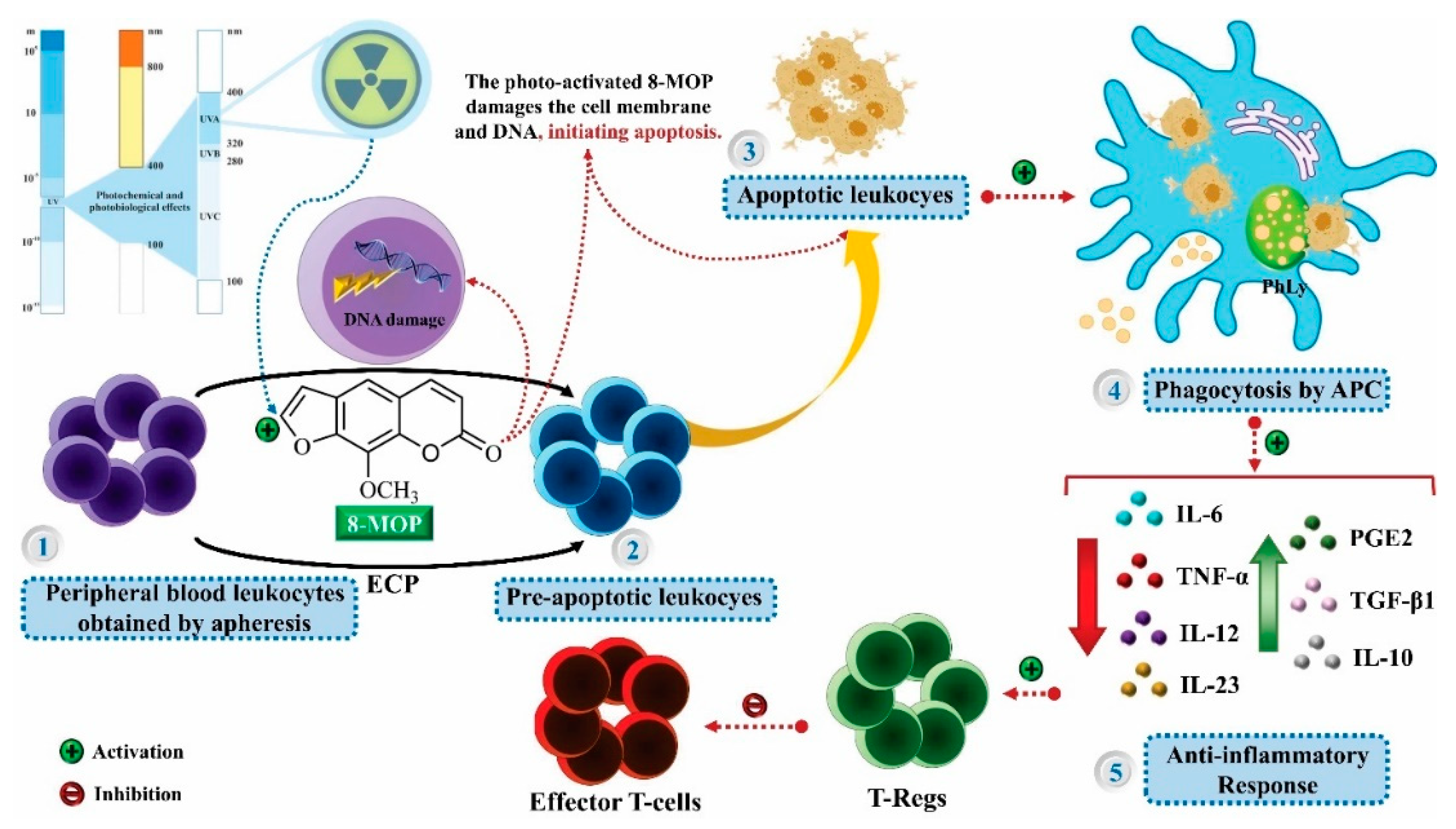 Molecules 25 03879 g003