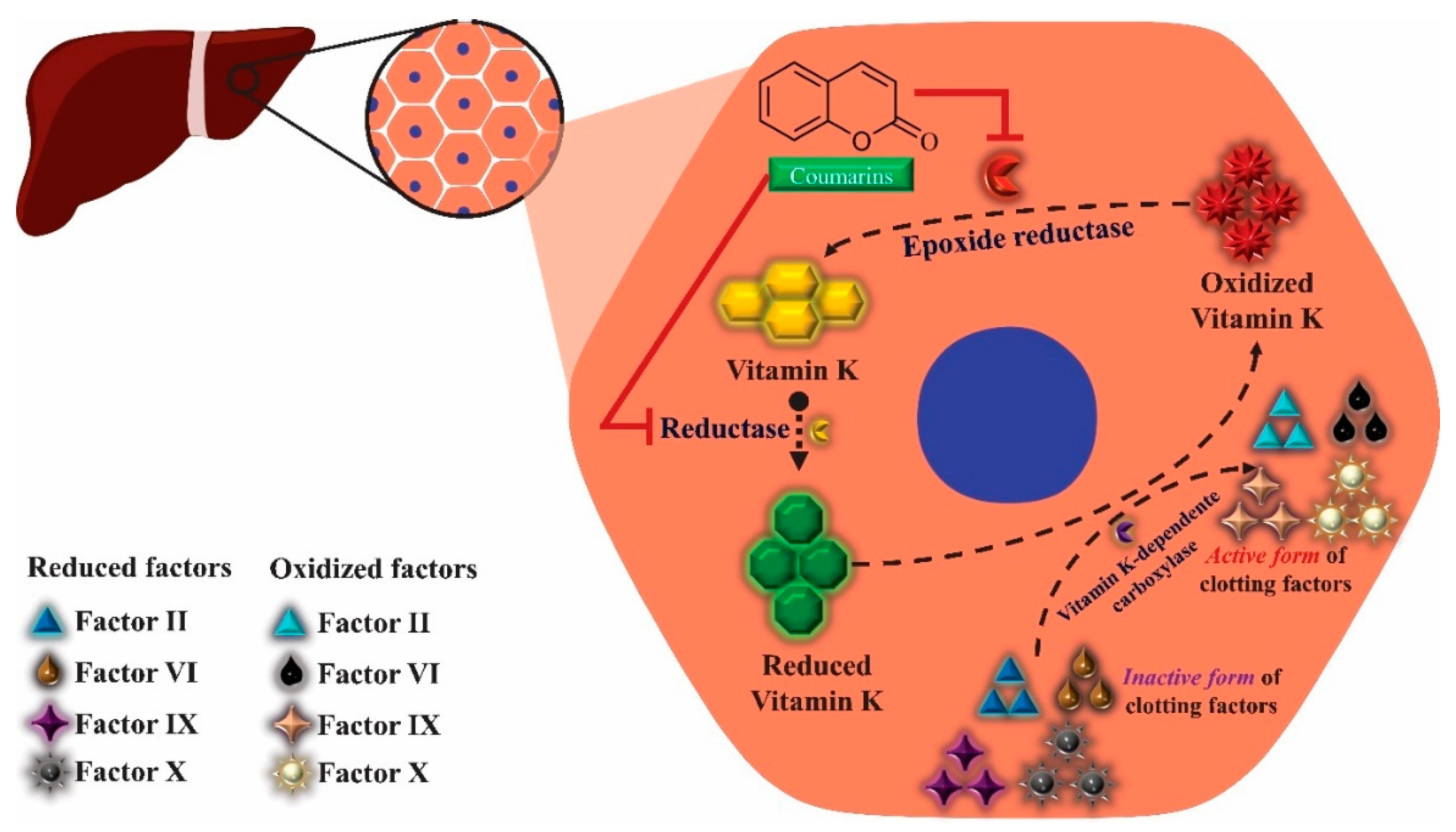 Molecules 25 03879 g004