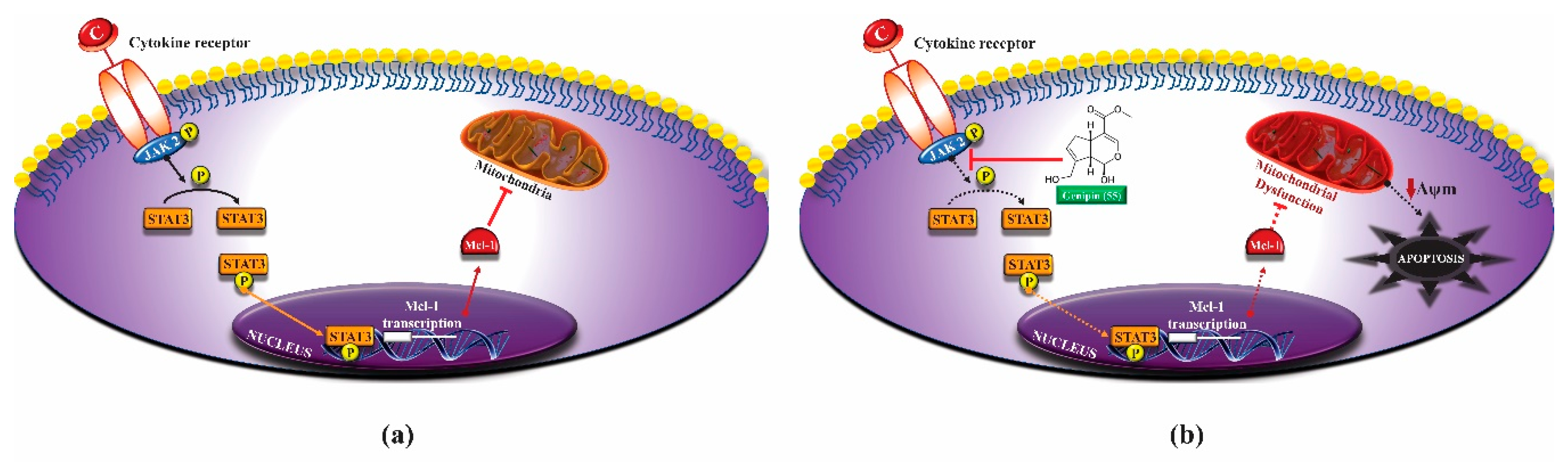 Molecules 25 03879 g006