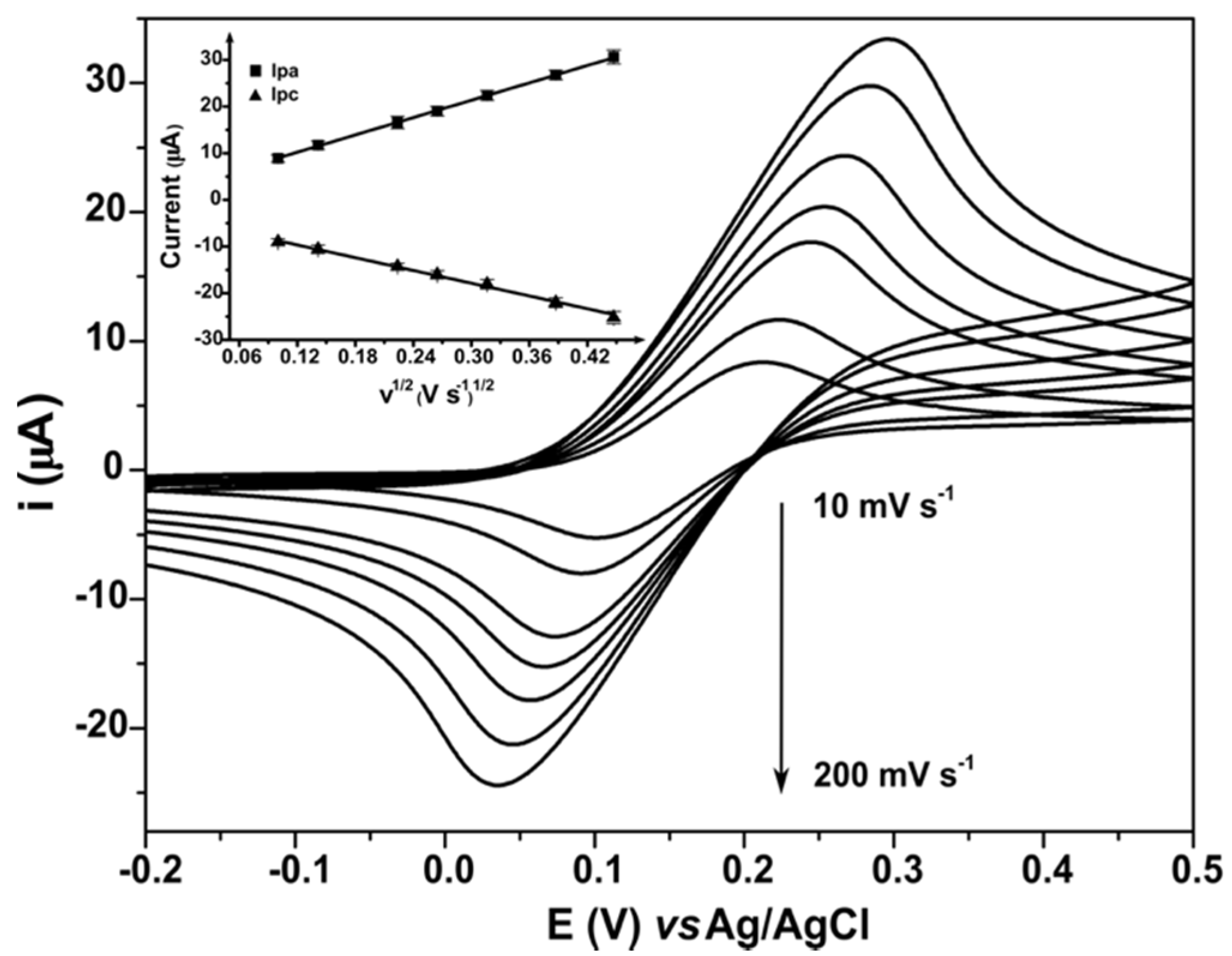 Molecules 25 03884 g004 Molecules 25 03884 g004