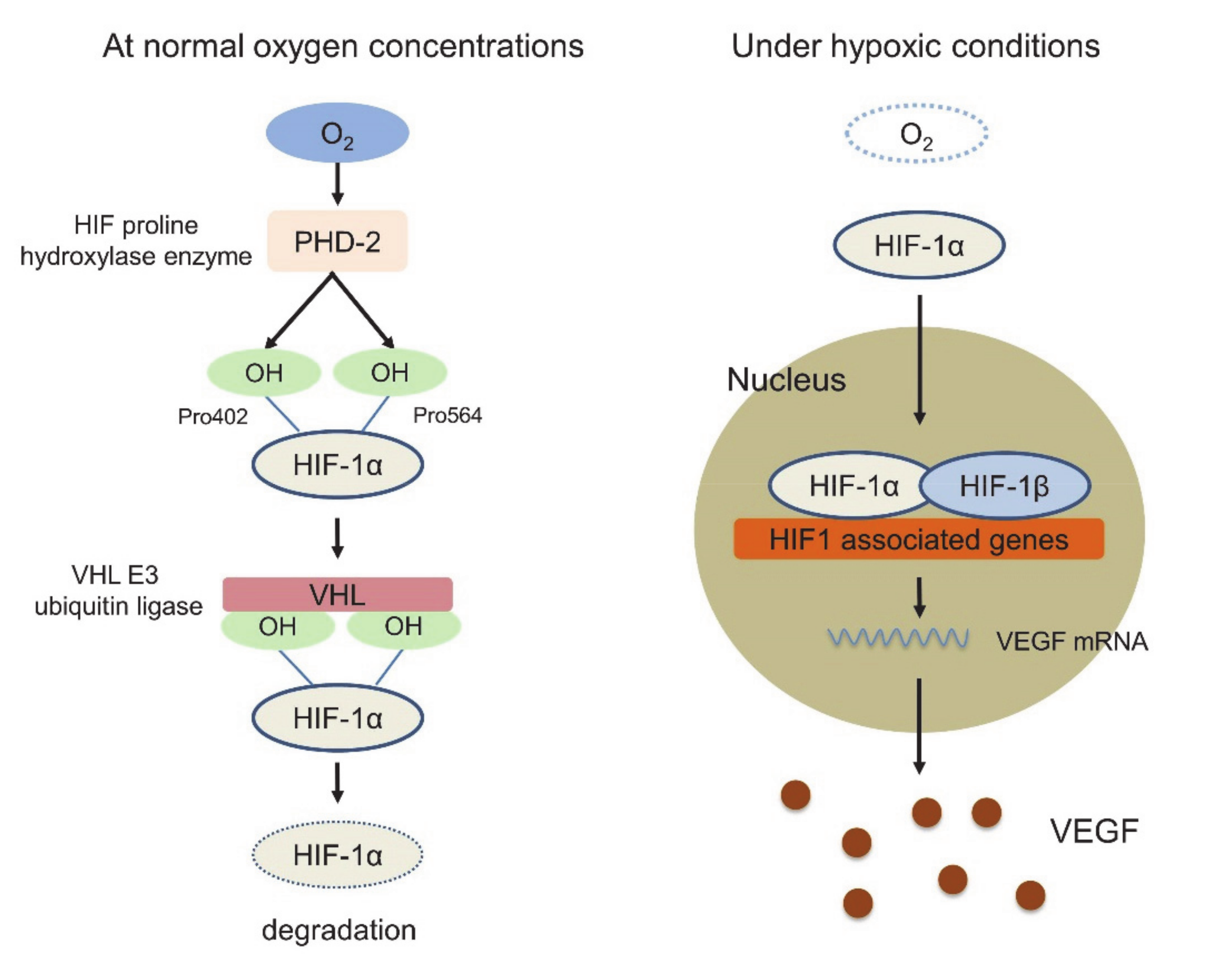 Molecules 25 03900 g001