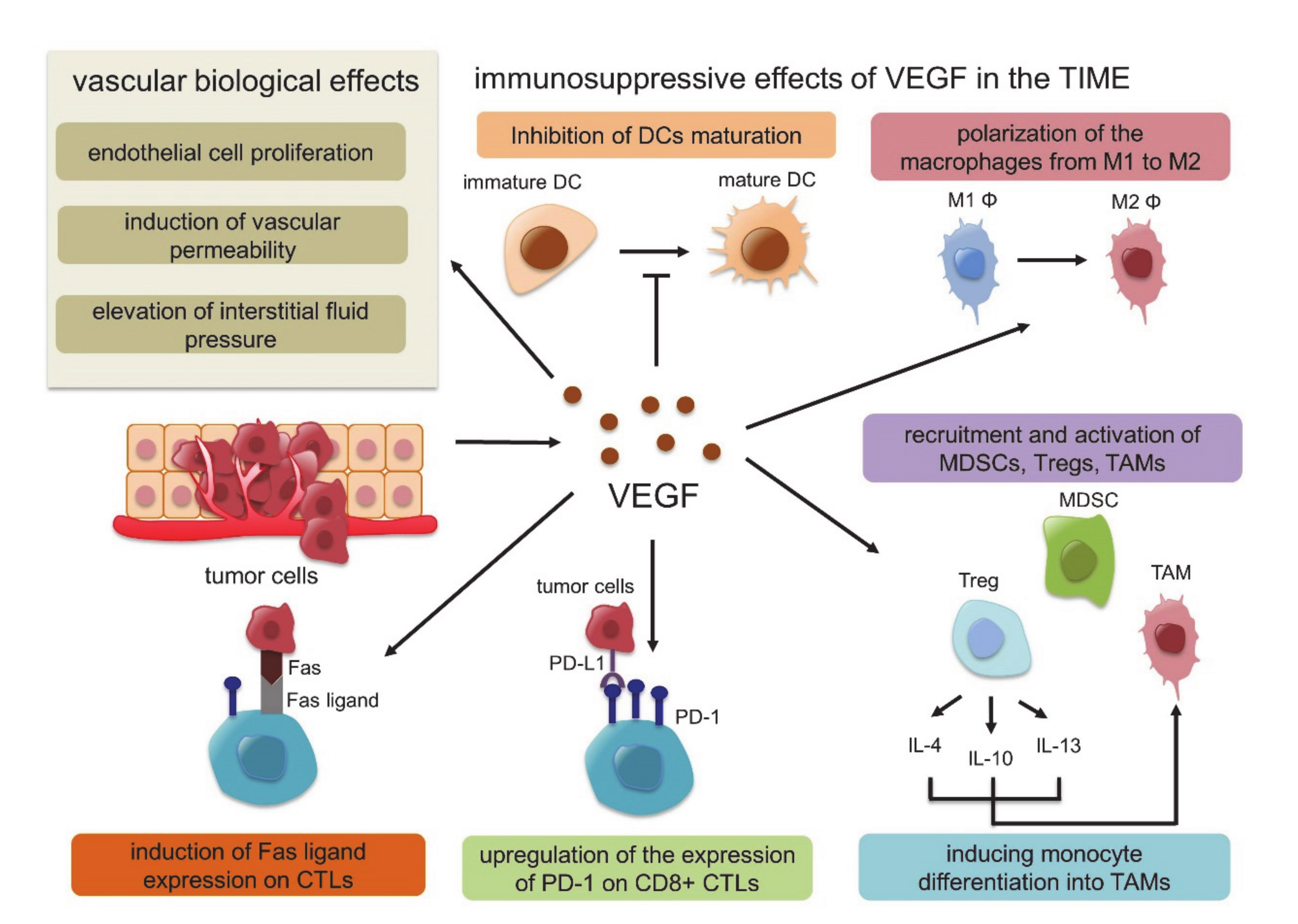 Molecules 25 03900 g002