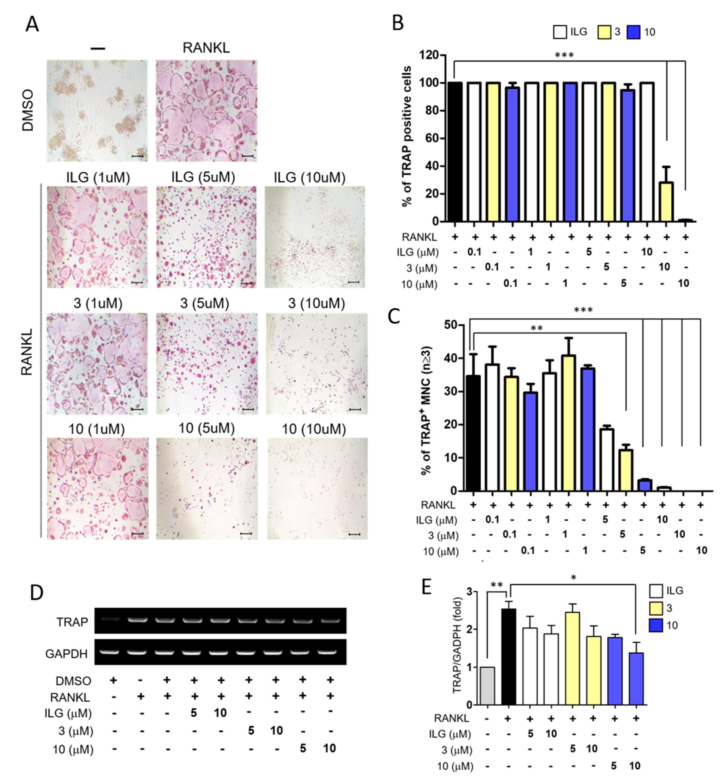 Molecules 25 03908 g002