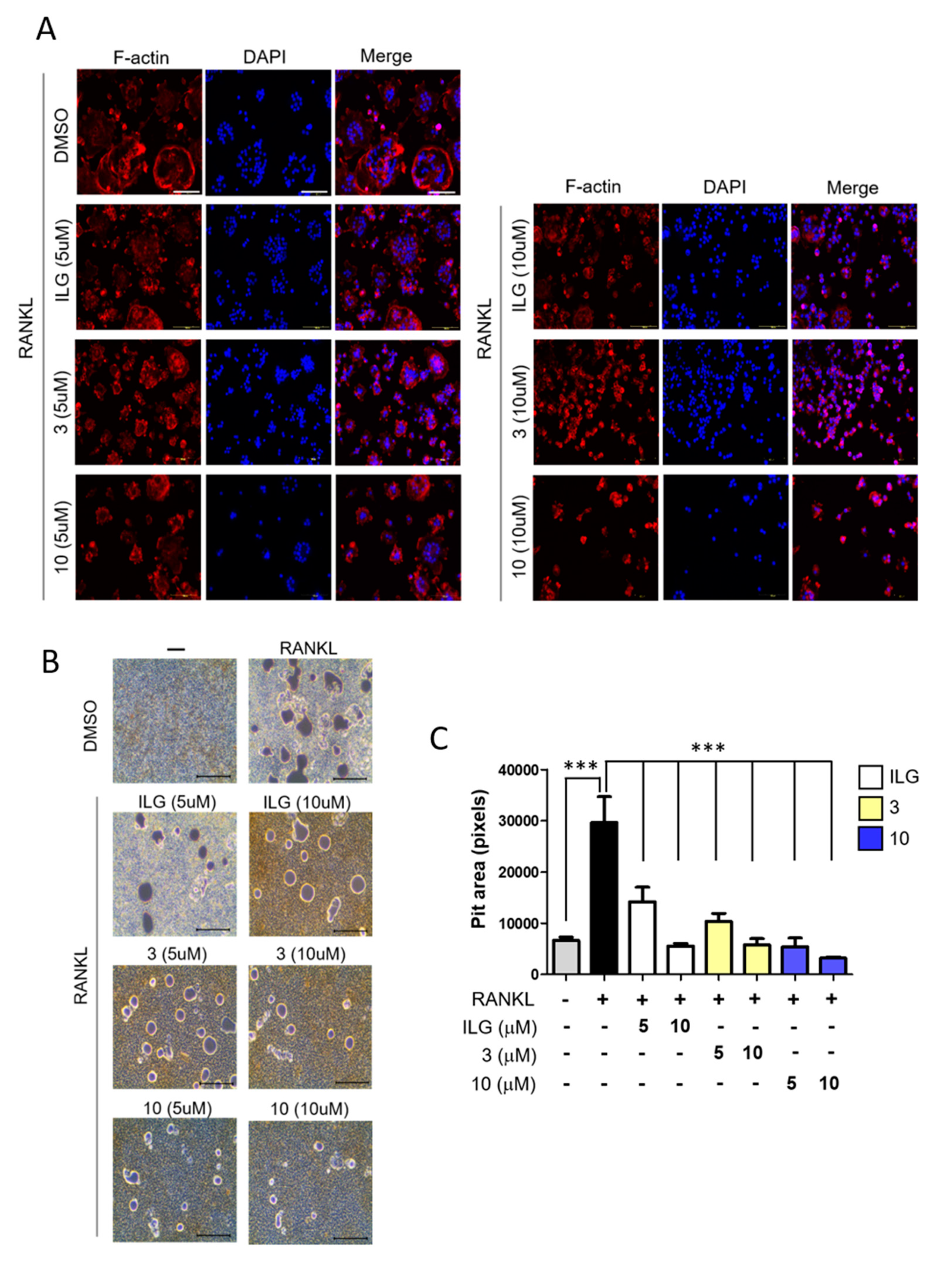 Molecules 25 03908 g005