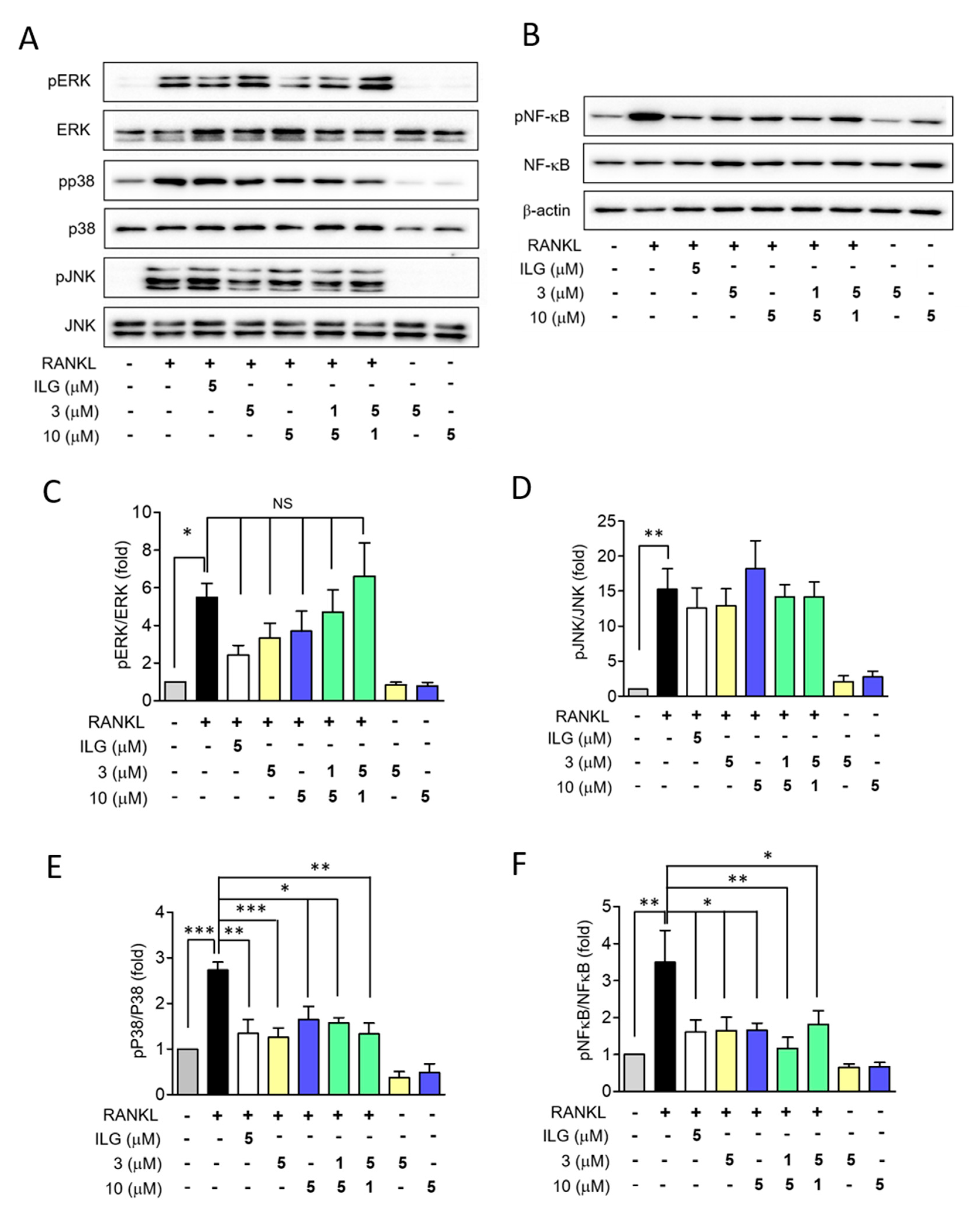 Molecules 25 03908 g007