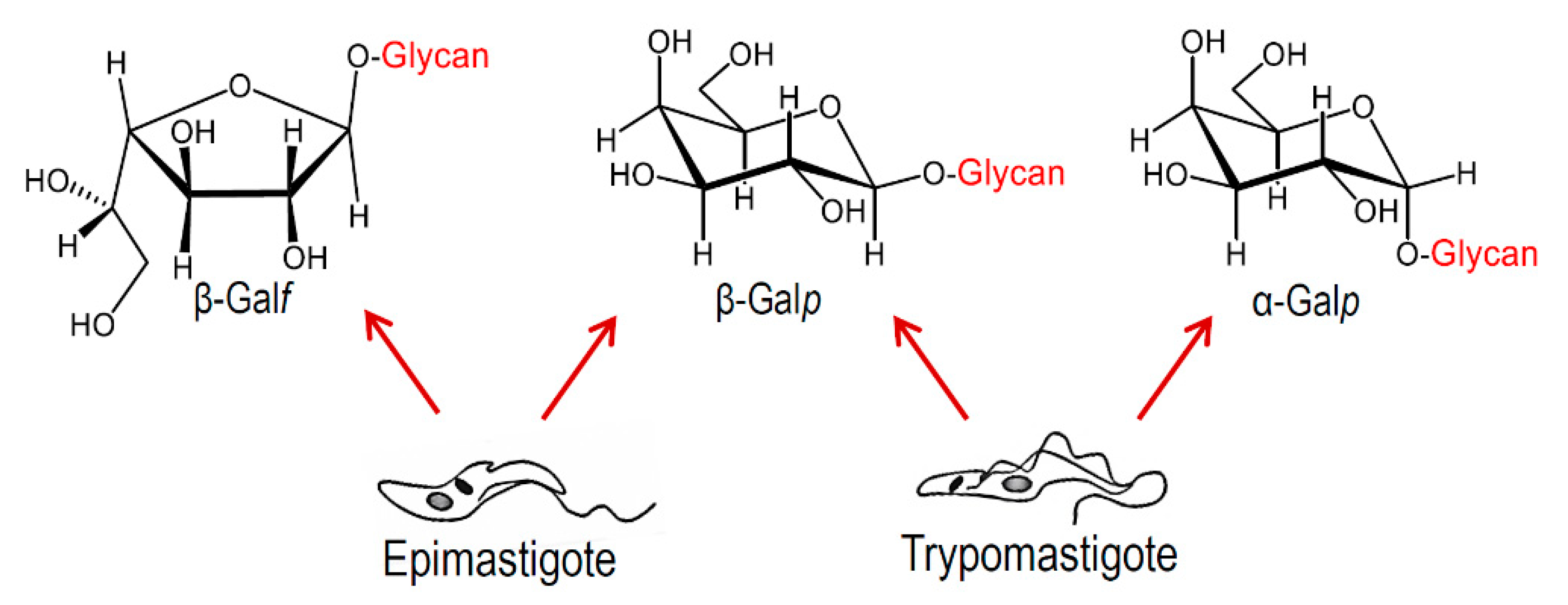 Molecules 25 03913 g004 Molecules 25 03913 g004