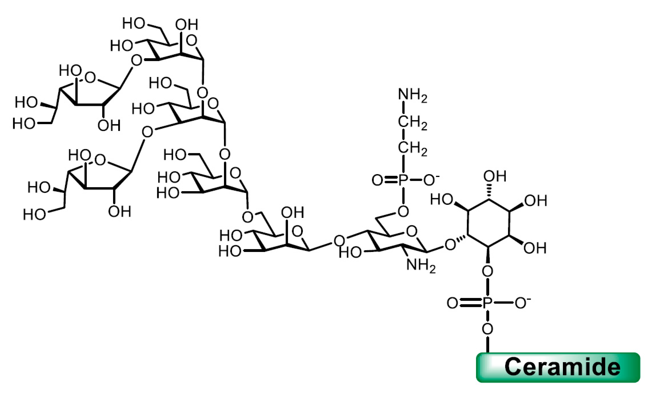 Molecules 25 03913 g005 Molecules 25 03913 g005