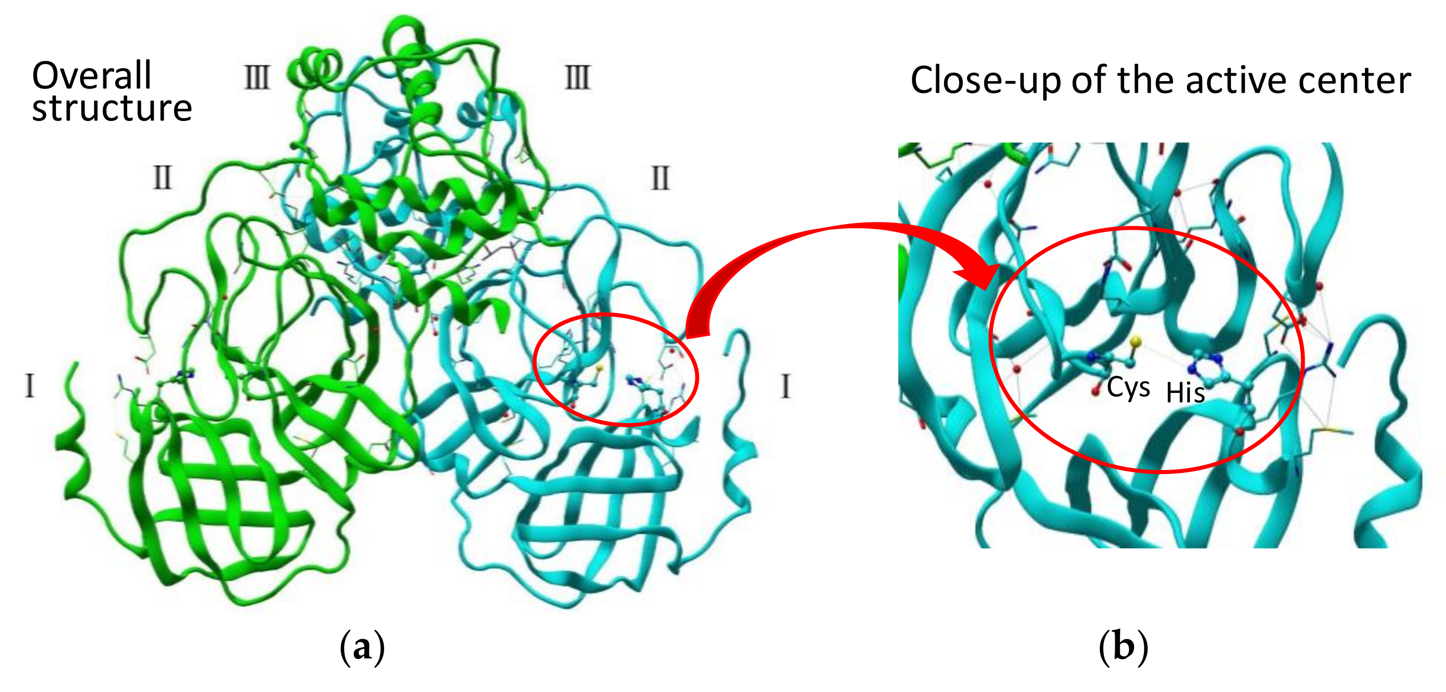 Molecules 25 03920 g001