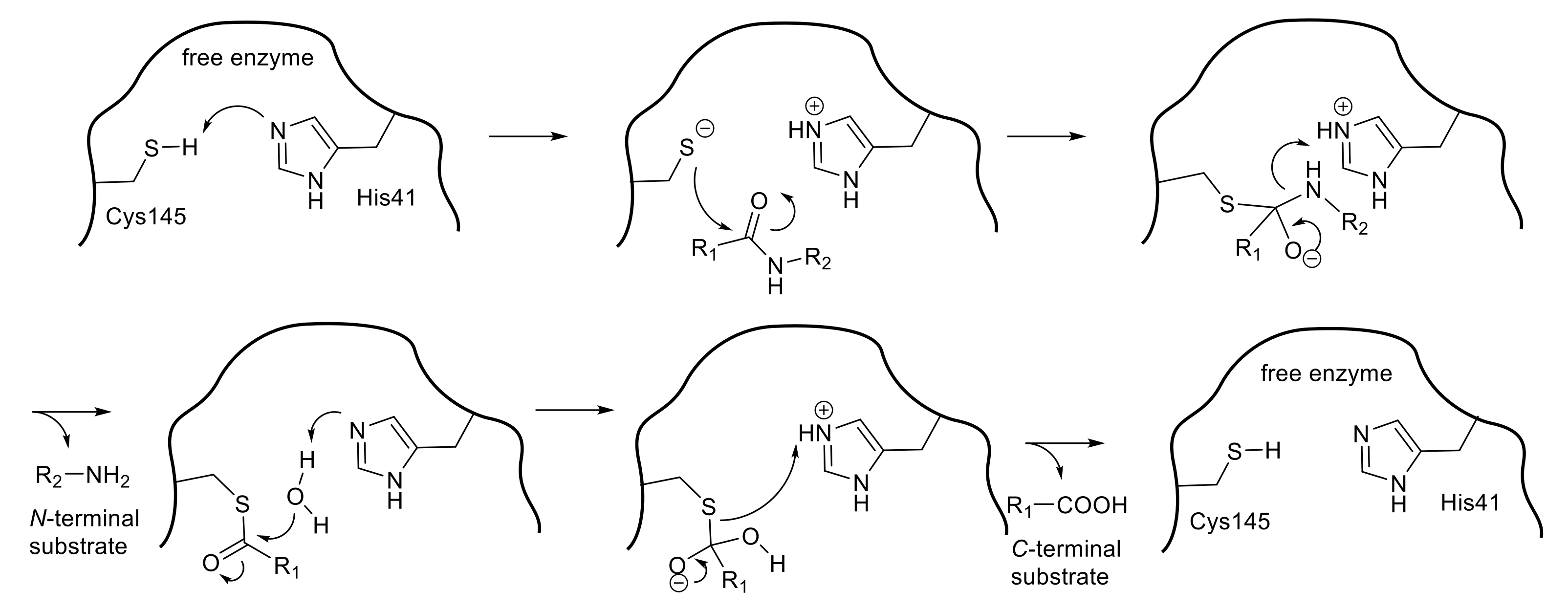Molecules 25 03920 g002