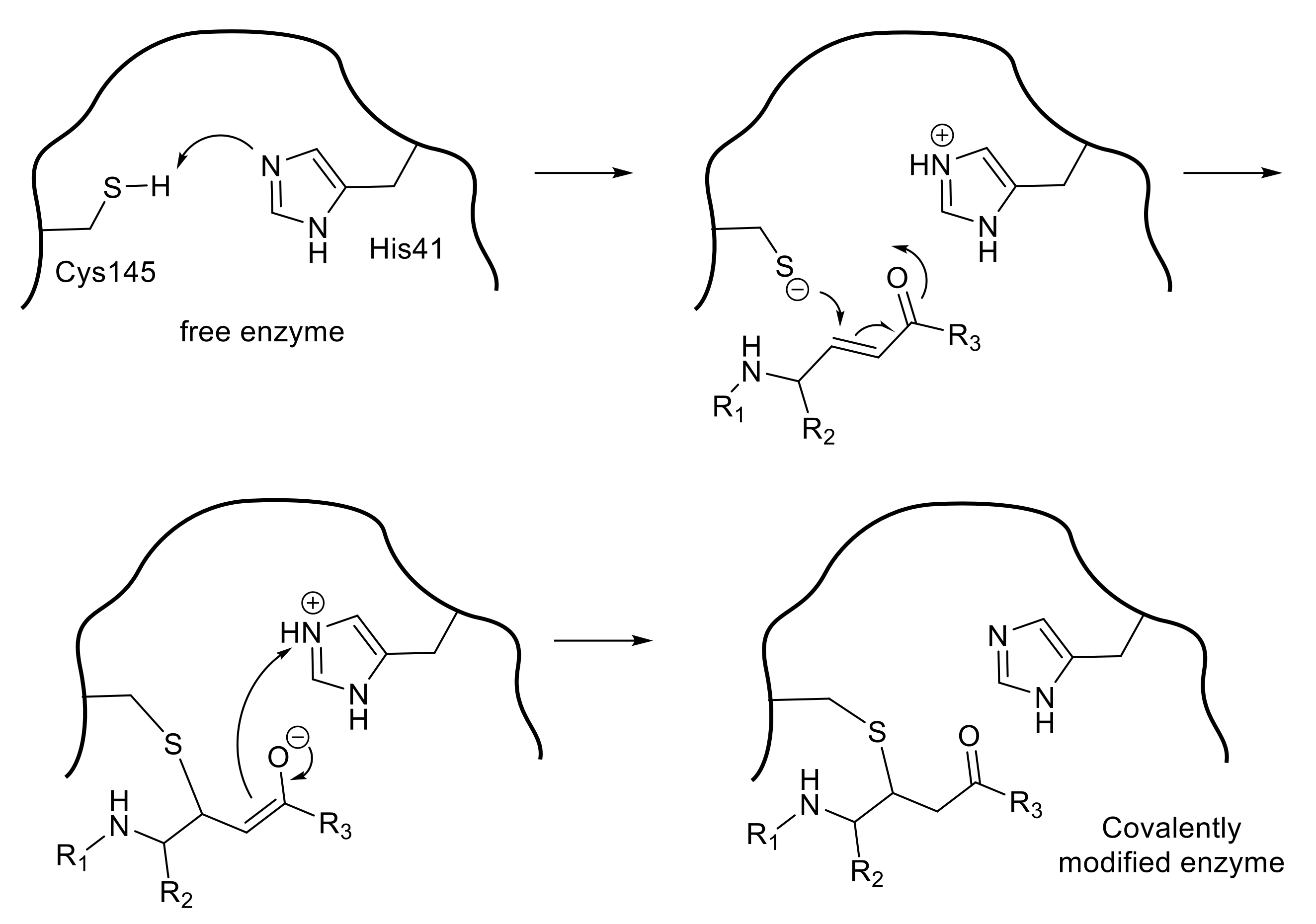 Molecules 25 03920 g003