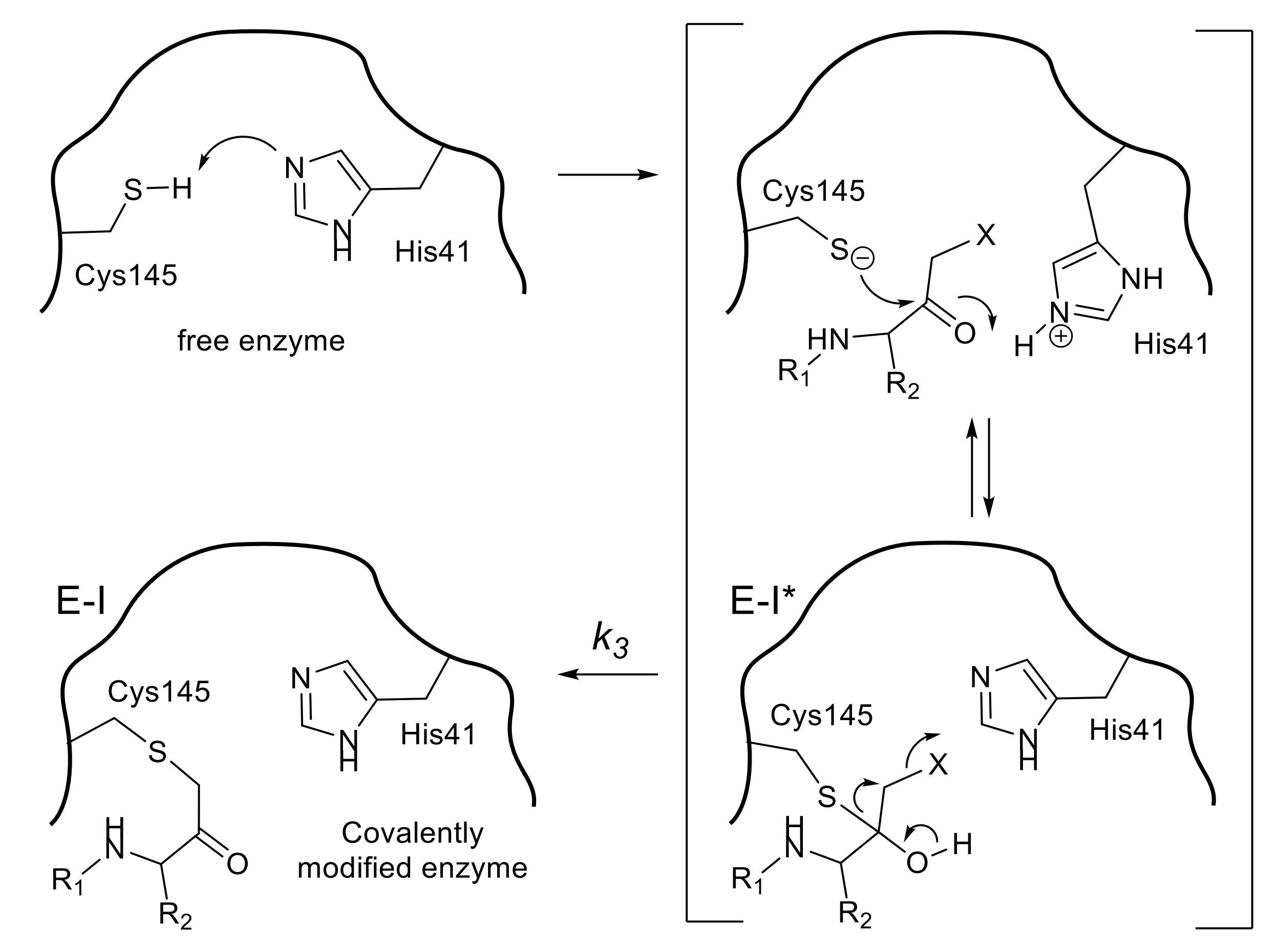 Molecules 25 03920 g004