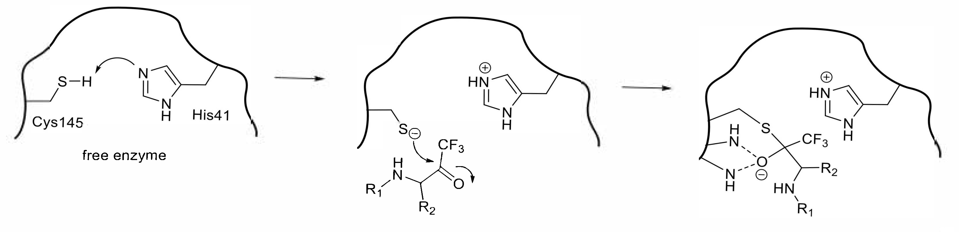 Molecules 25 03920 g005