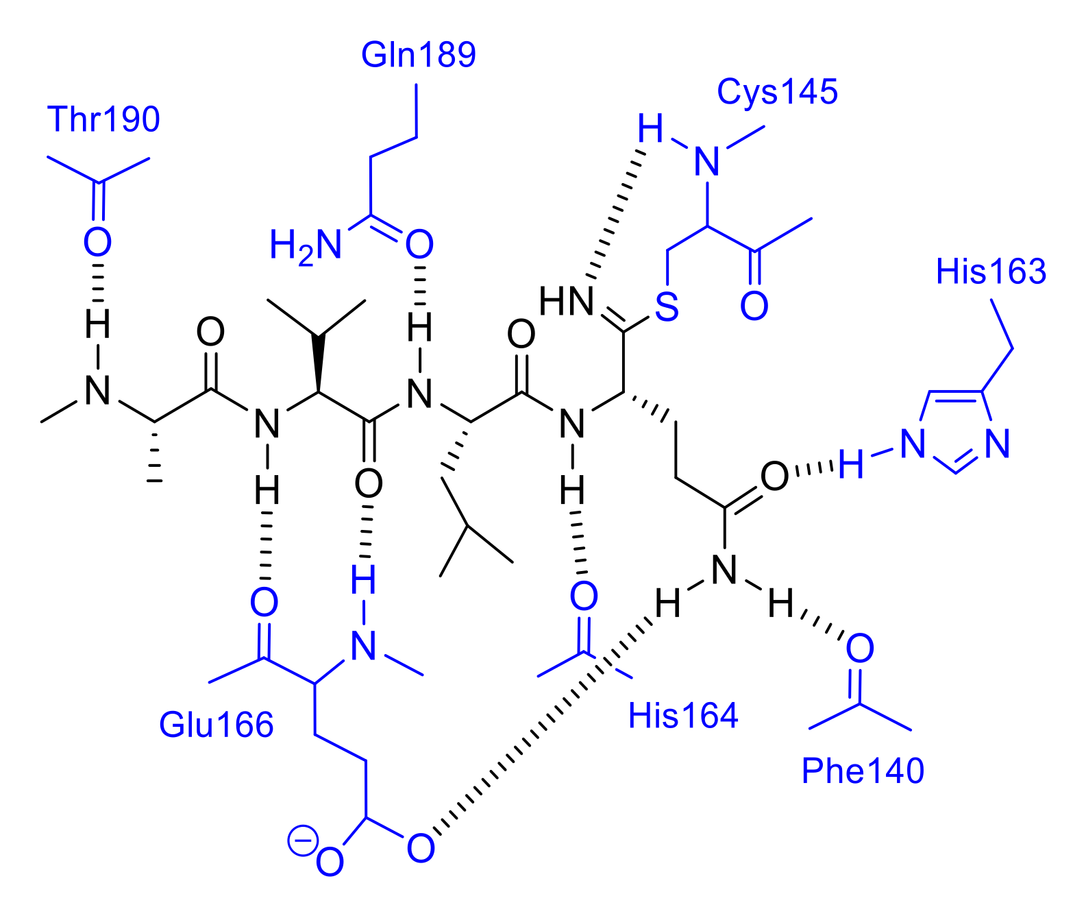 Molecules 25 03920 g008