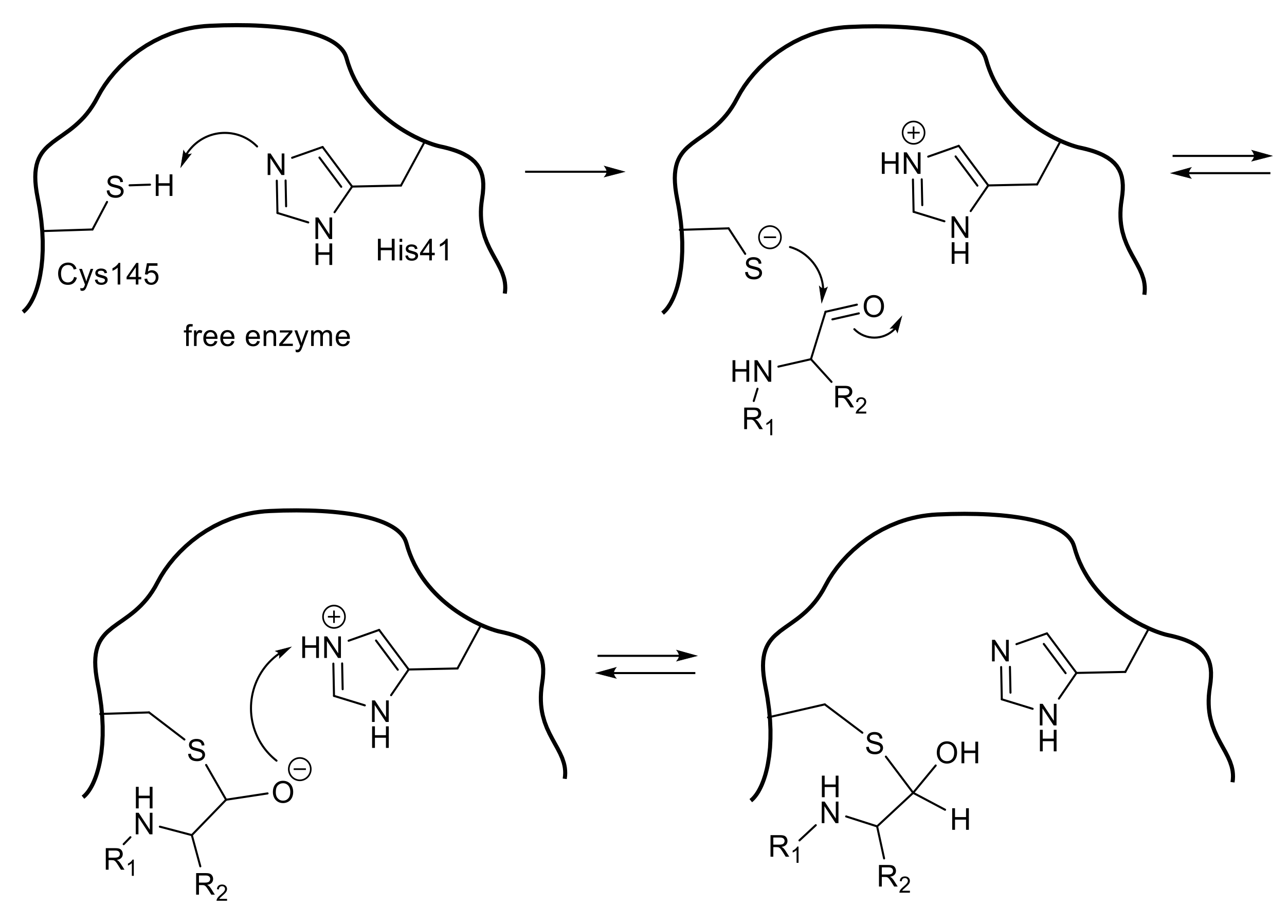 Molecules 25 03920 g009