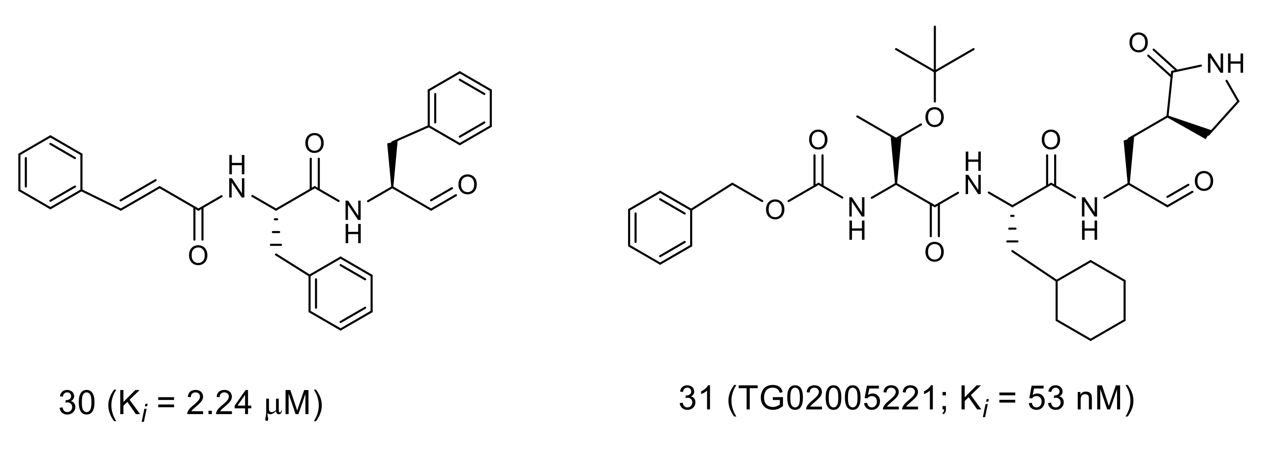 Molecules 25 03920 g010