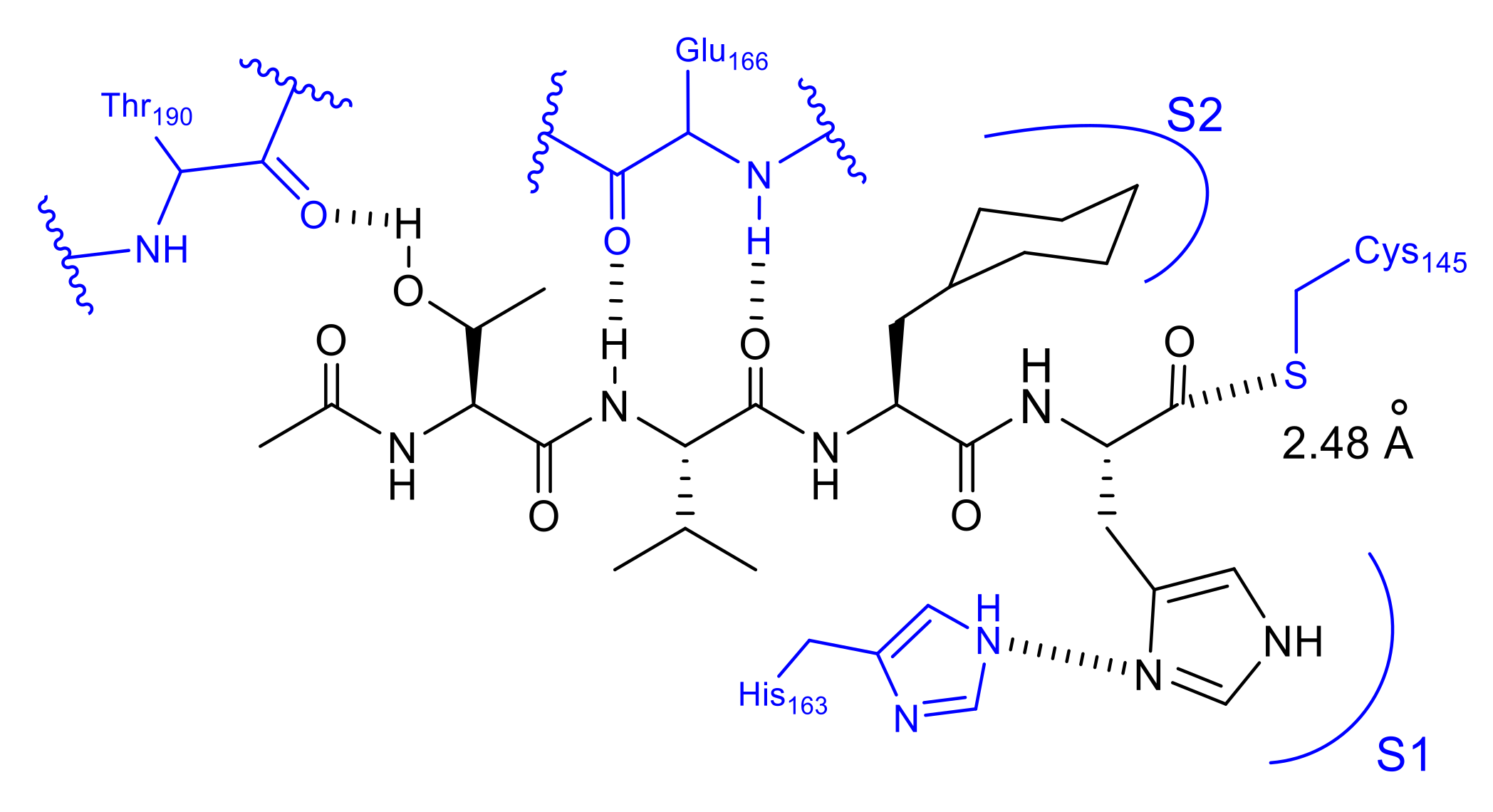 Molecules 25 03920 g011