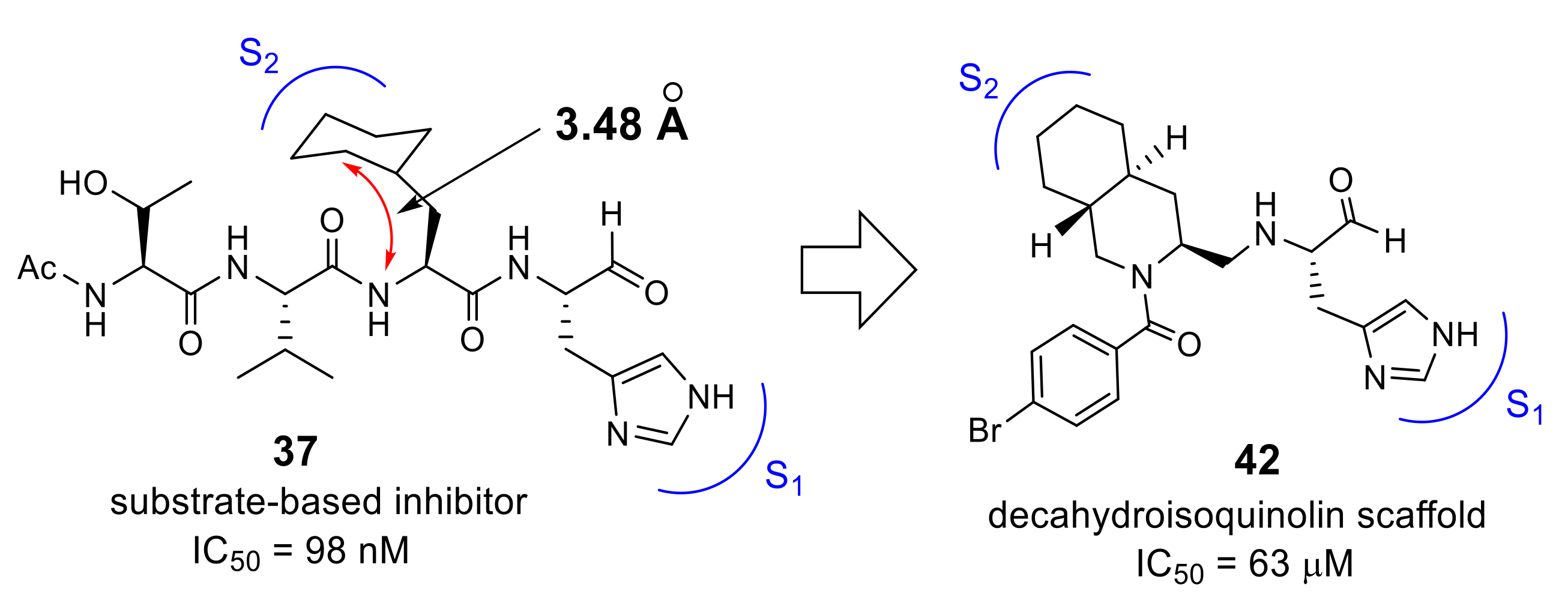 Molecules 25 03920 g013