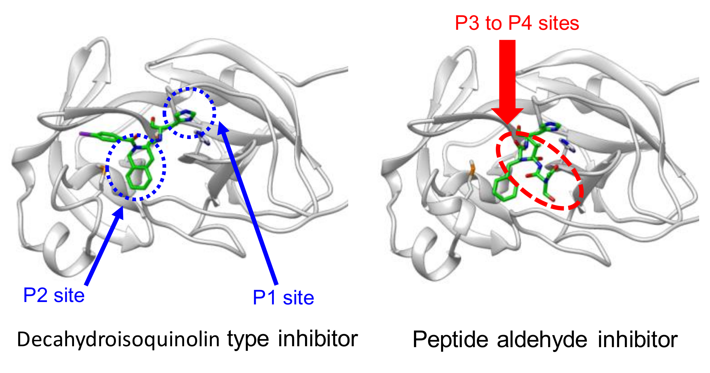 Molecules 25 03920 g015