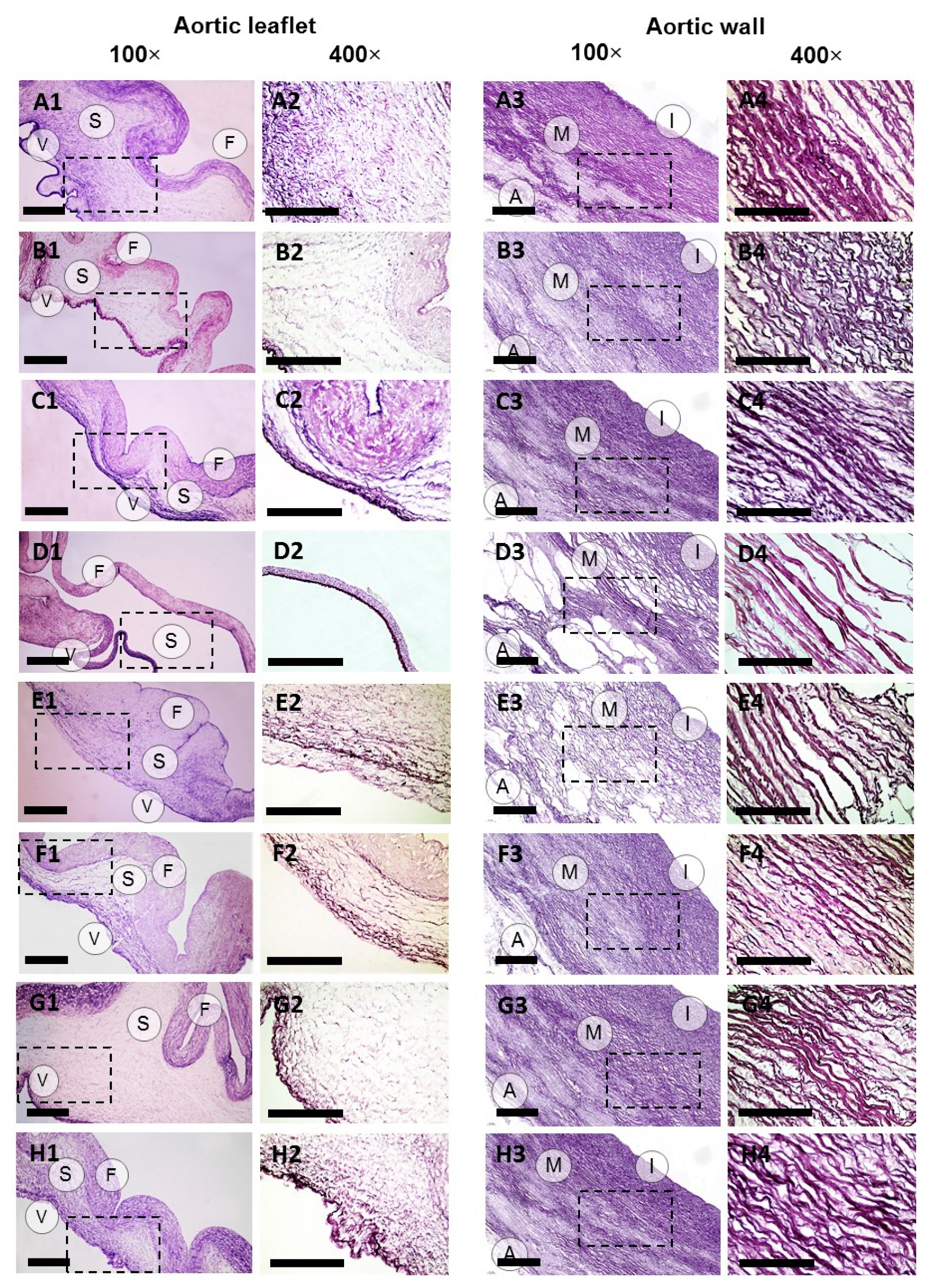 Molecules 25 03923 g003 Molecules 25 03923 g003