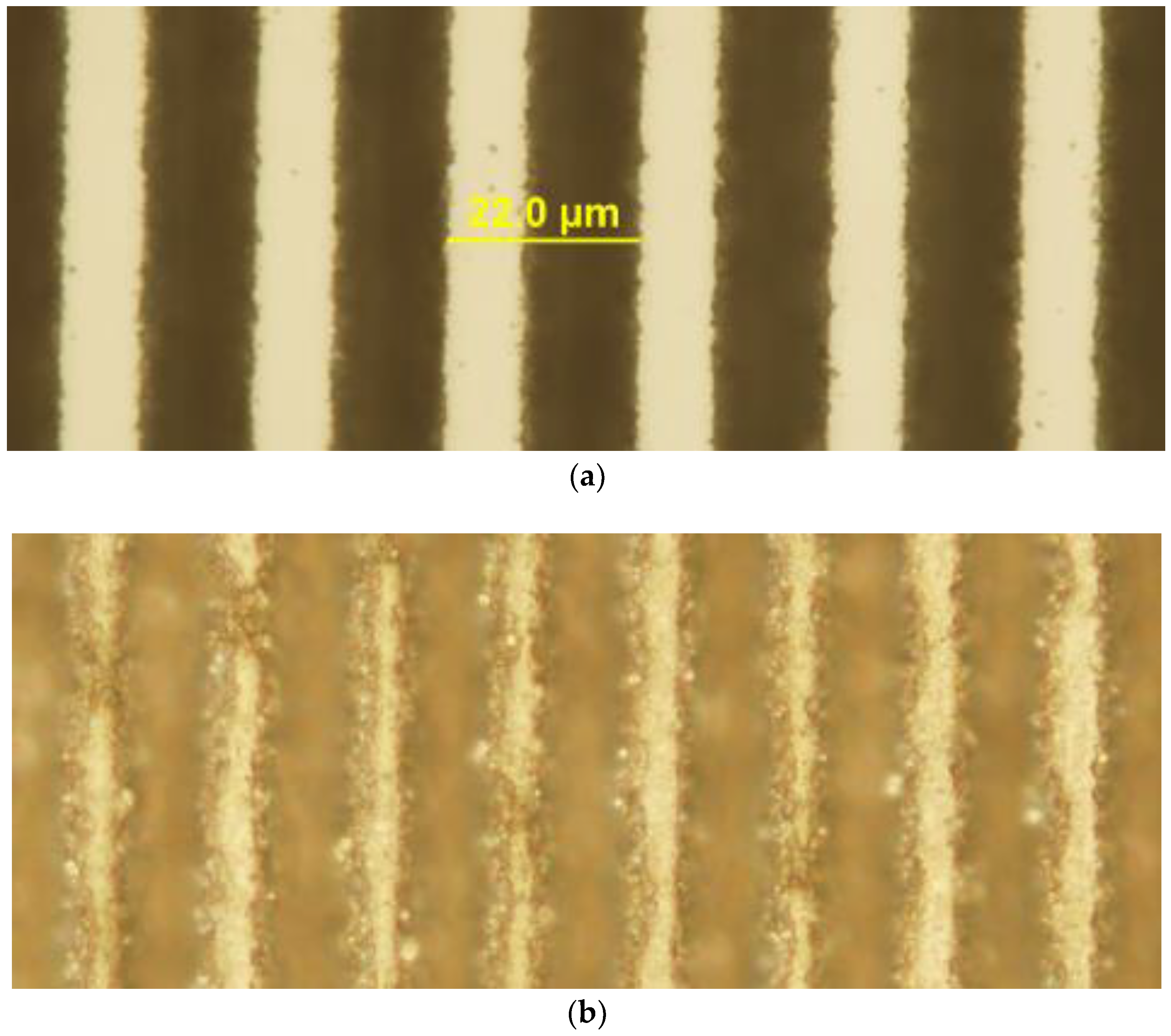 Molecules 25 03925 g003