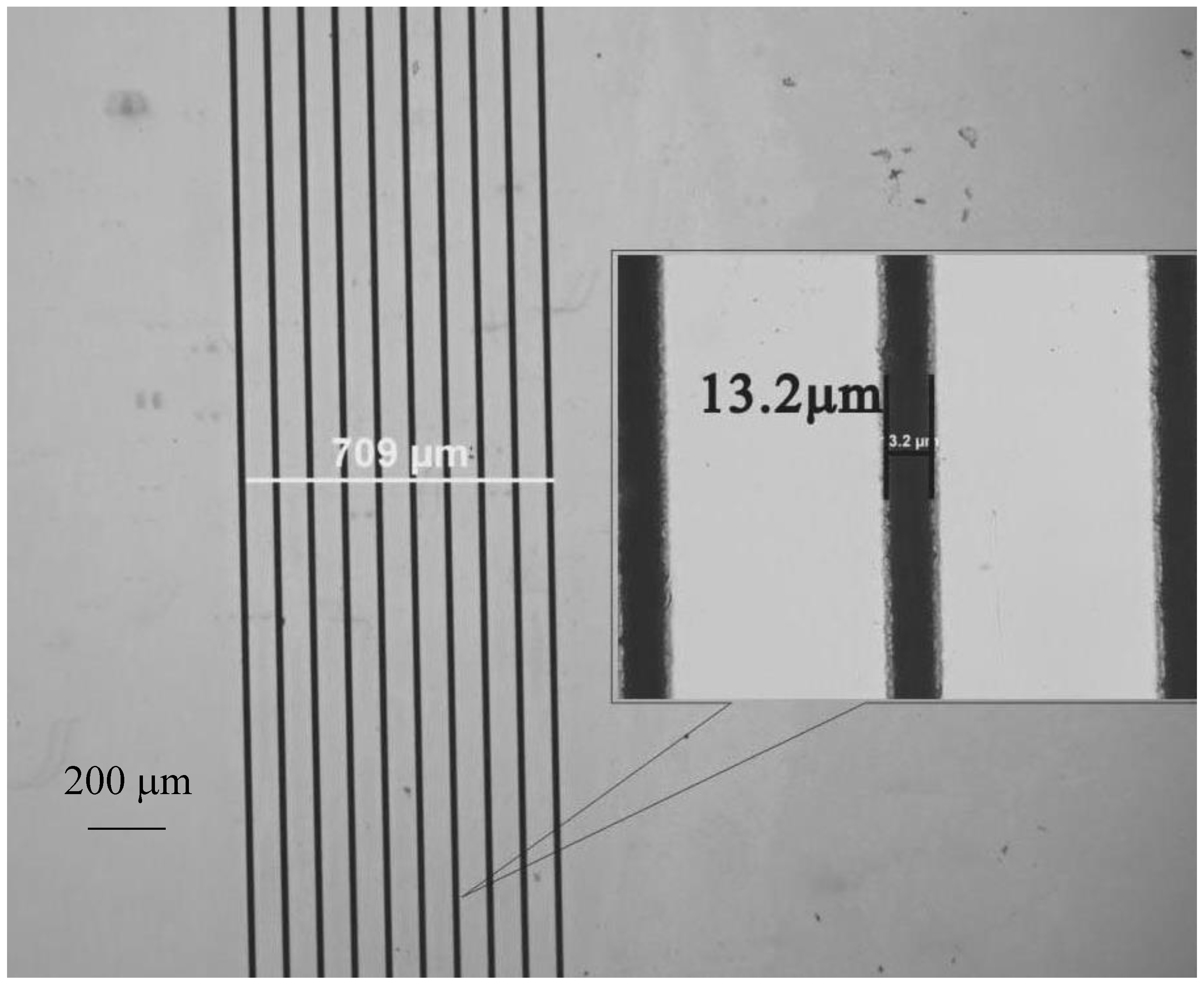 Molecules 25 03925 g005