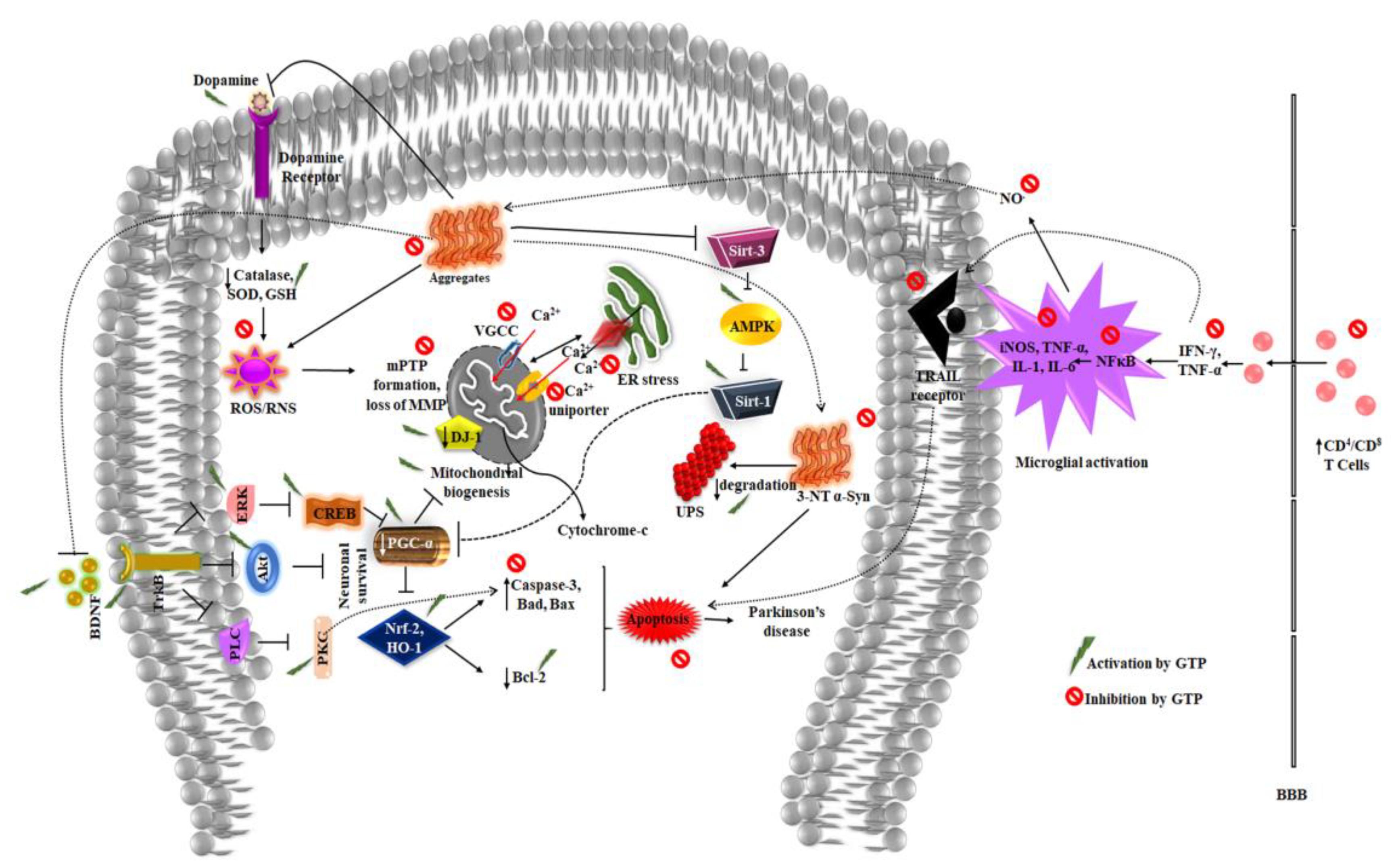 Molecules 25 03926 g003 Molecules 25 03926 g003