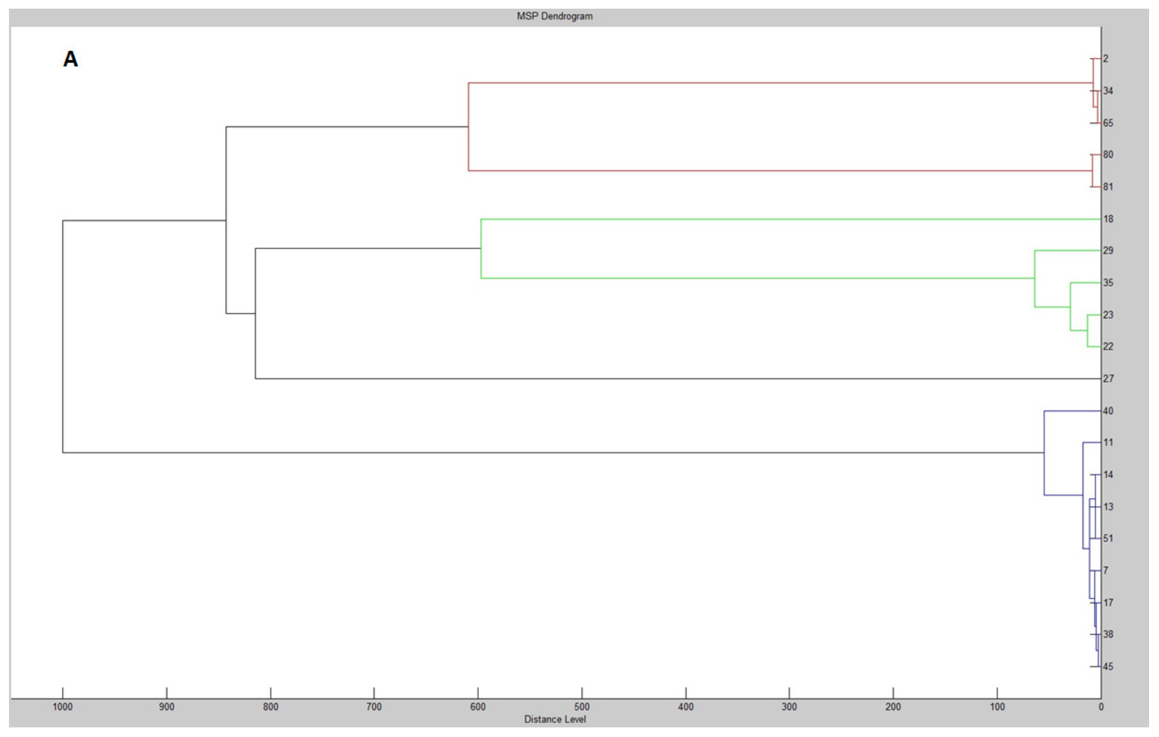 Molecules 25 03930 g001a Molecules 25 03930 g001a