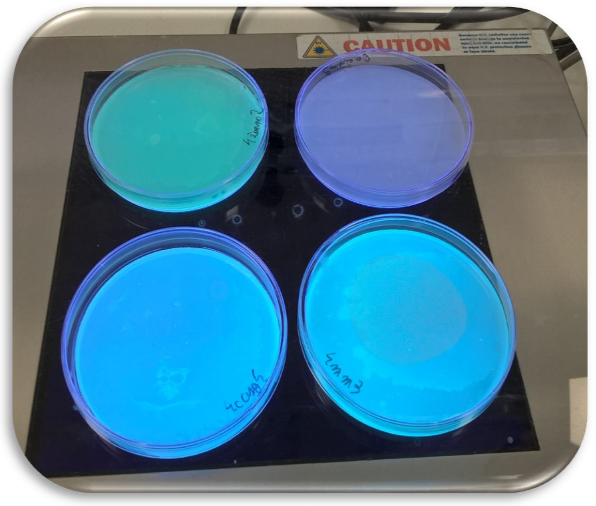 Molecules 25 03930 g002 Molecules 25 03930 g002