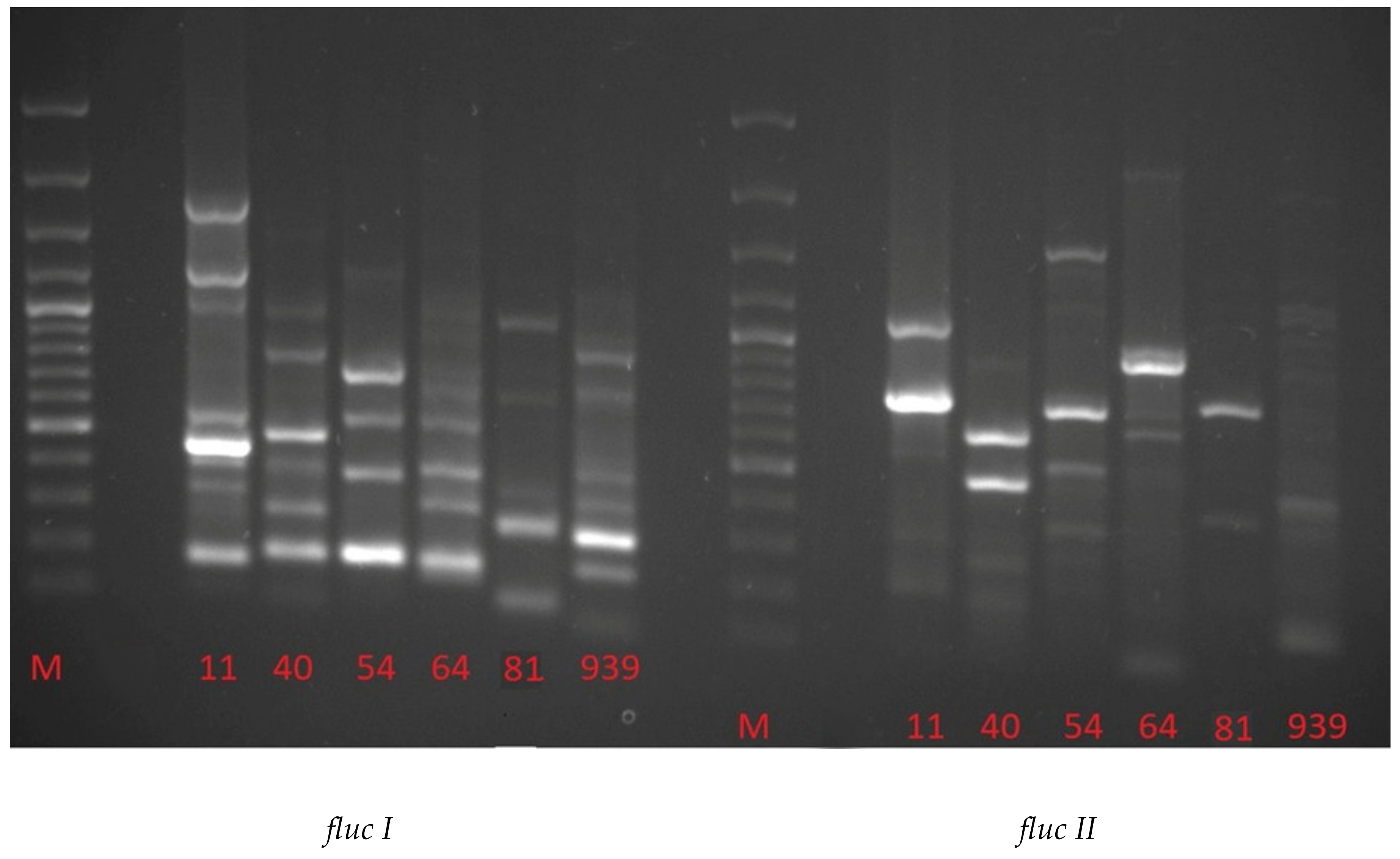 Molecules 25 03930 g003 Molecules 25 03930 g003