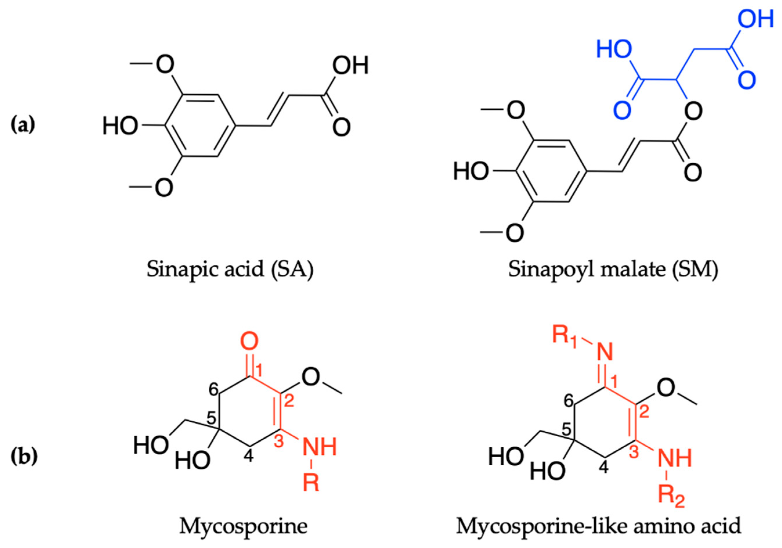 Molecules 25 03945 g001