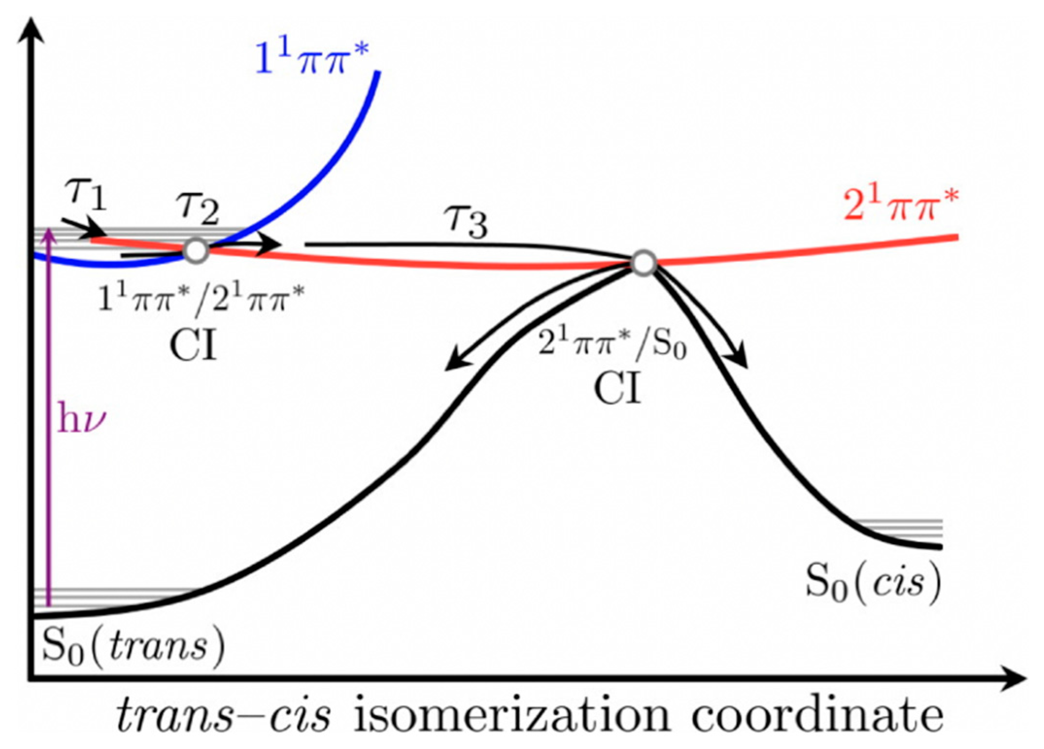 Molecules 25 03945 g004