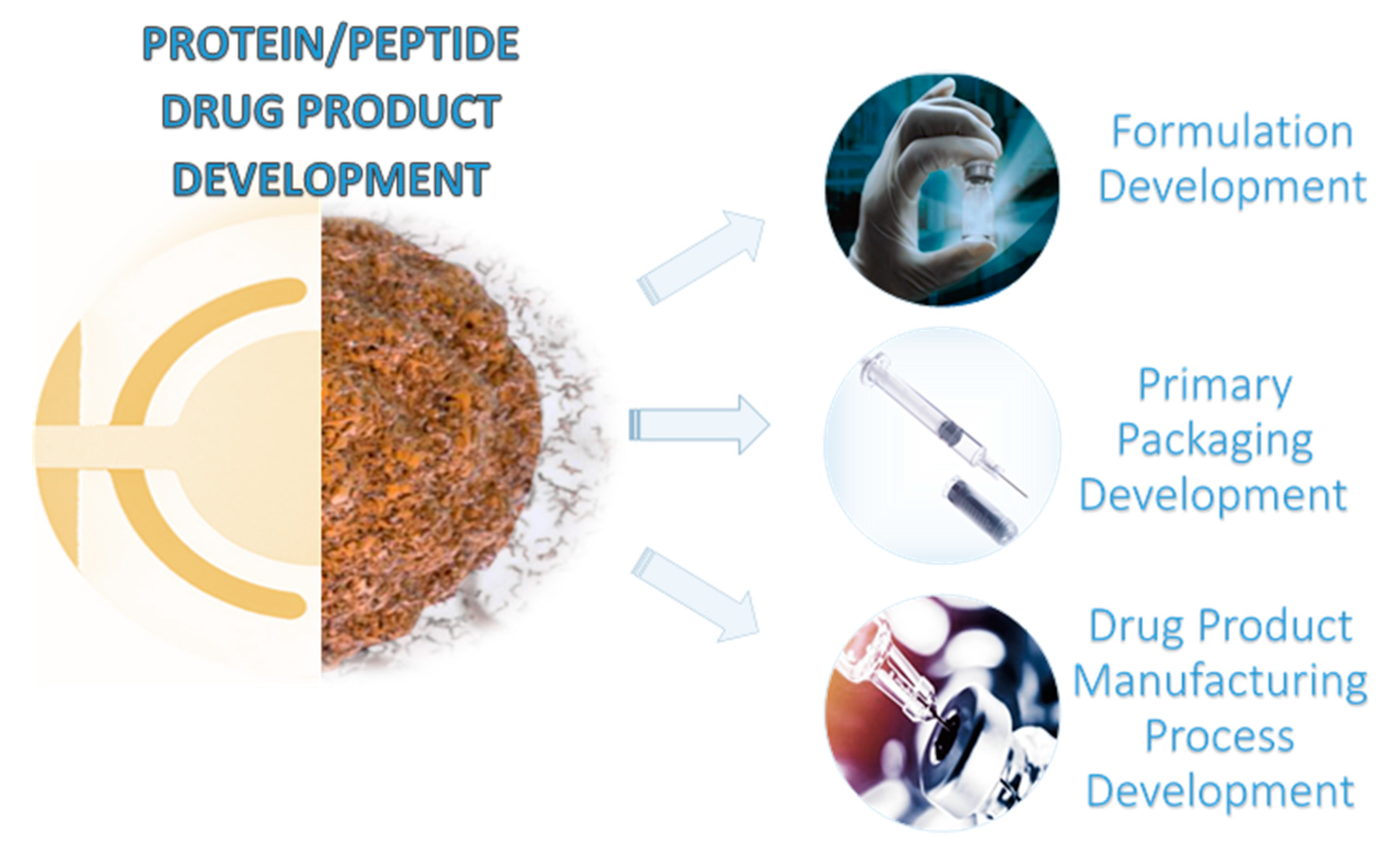 Molecules 25 03950 g001 Molecules 25 03950 g001