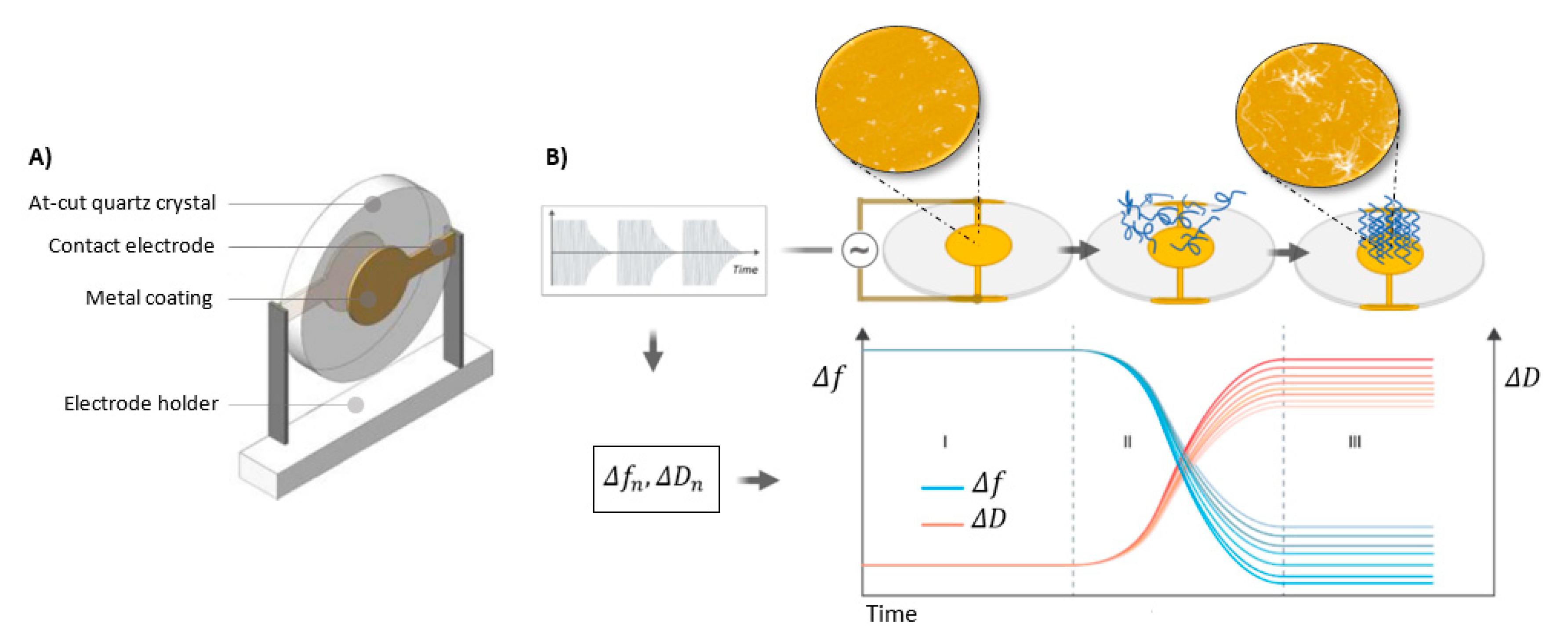 Molecules 25 03950 g002 Molecules 25 03950 g002