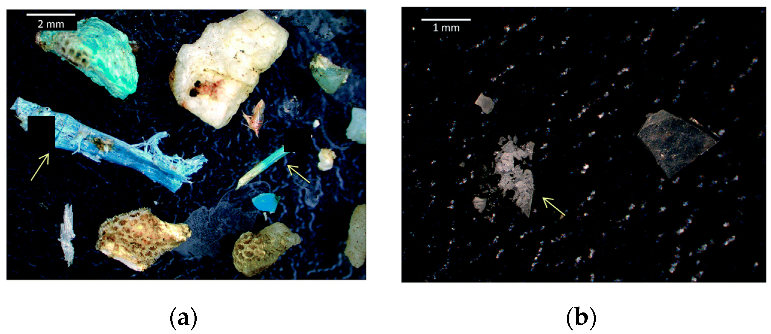 Molecules 25 03954 g002