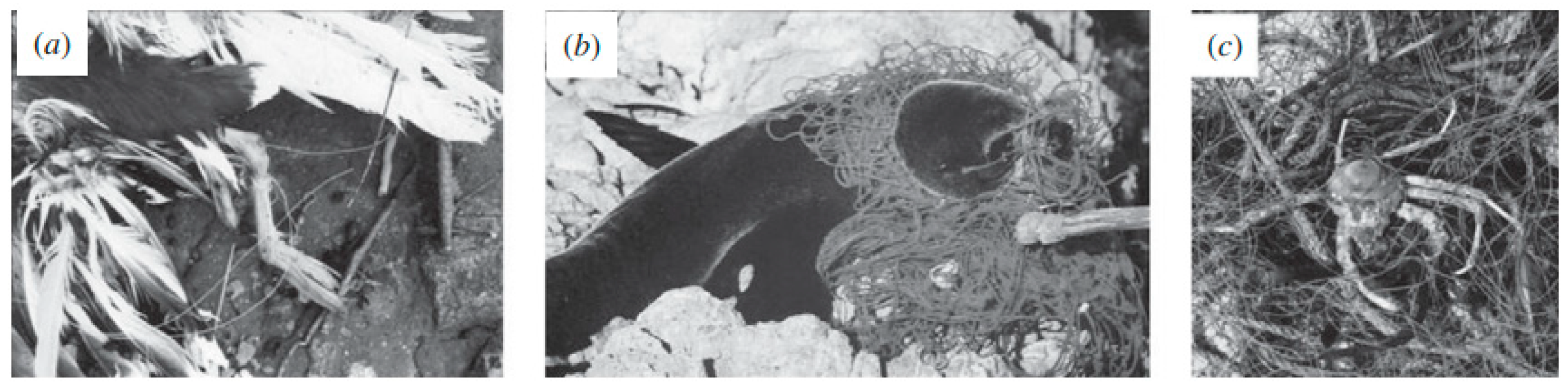 Molecules 25 03954 g003